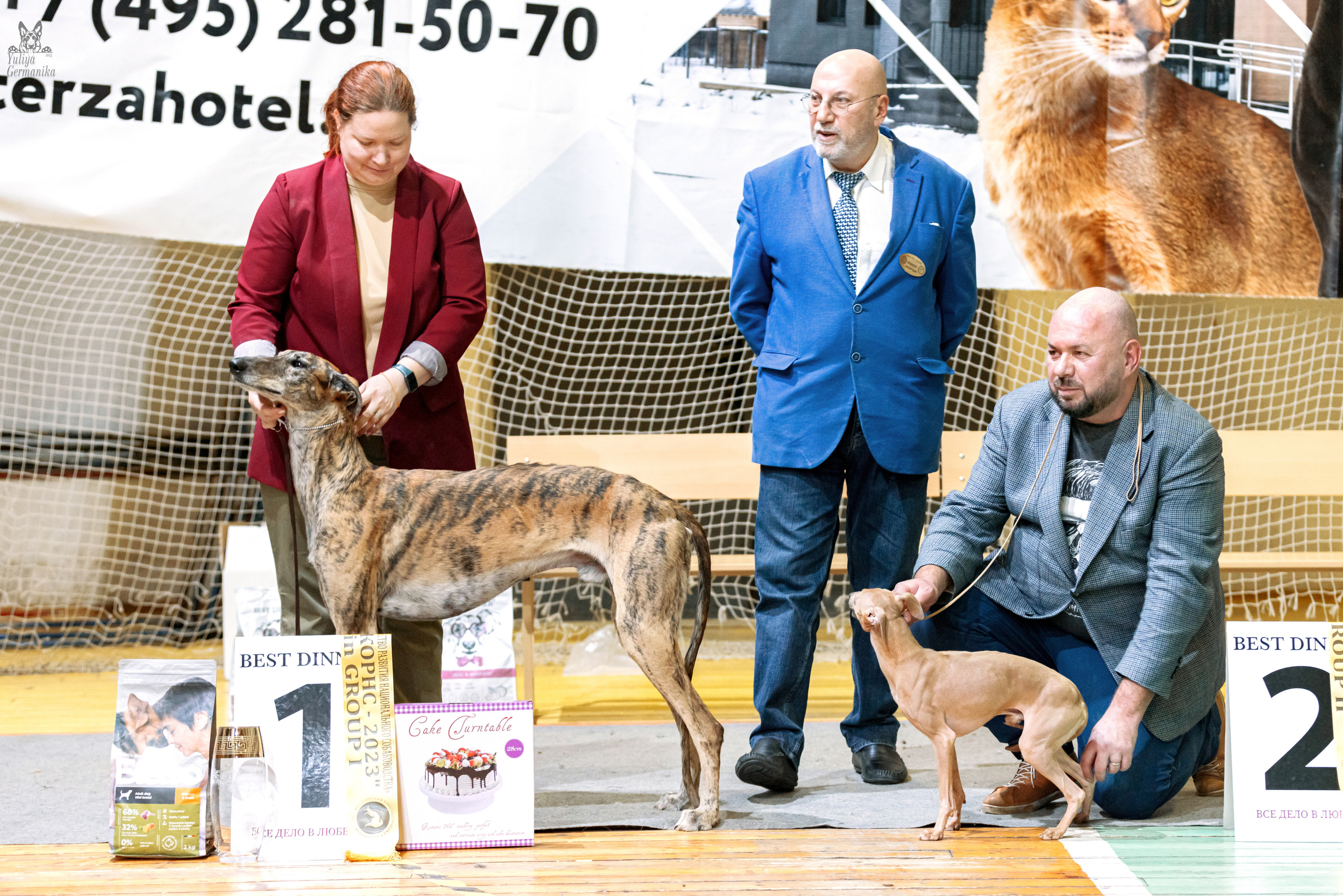 Тверь 01.04.2023. Фотограф-анималист Юлия Германика