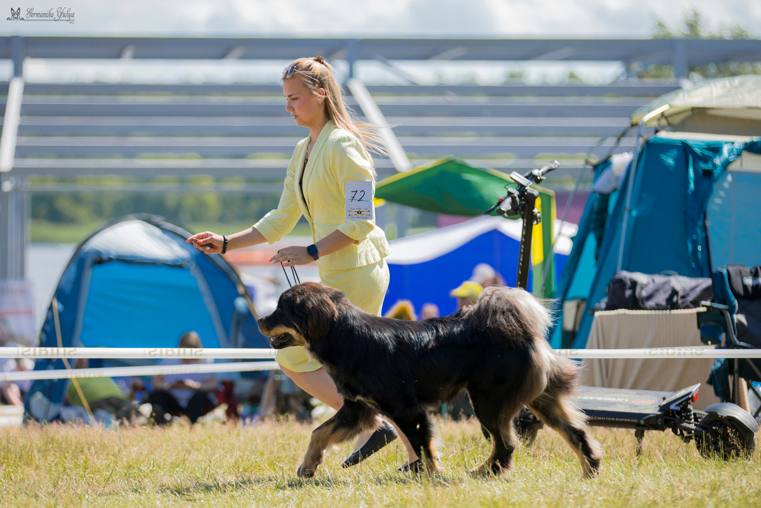 Волжанка 8.07.2023. Фотограф-анималист Юлия Германика