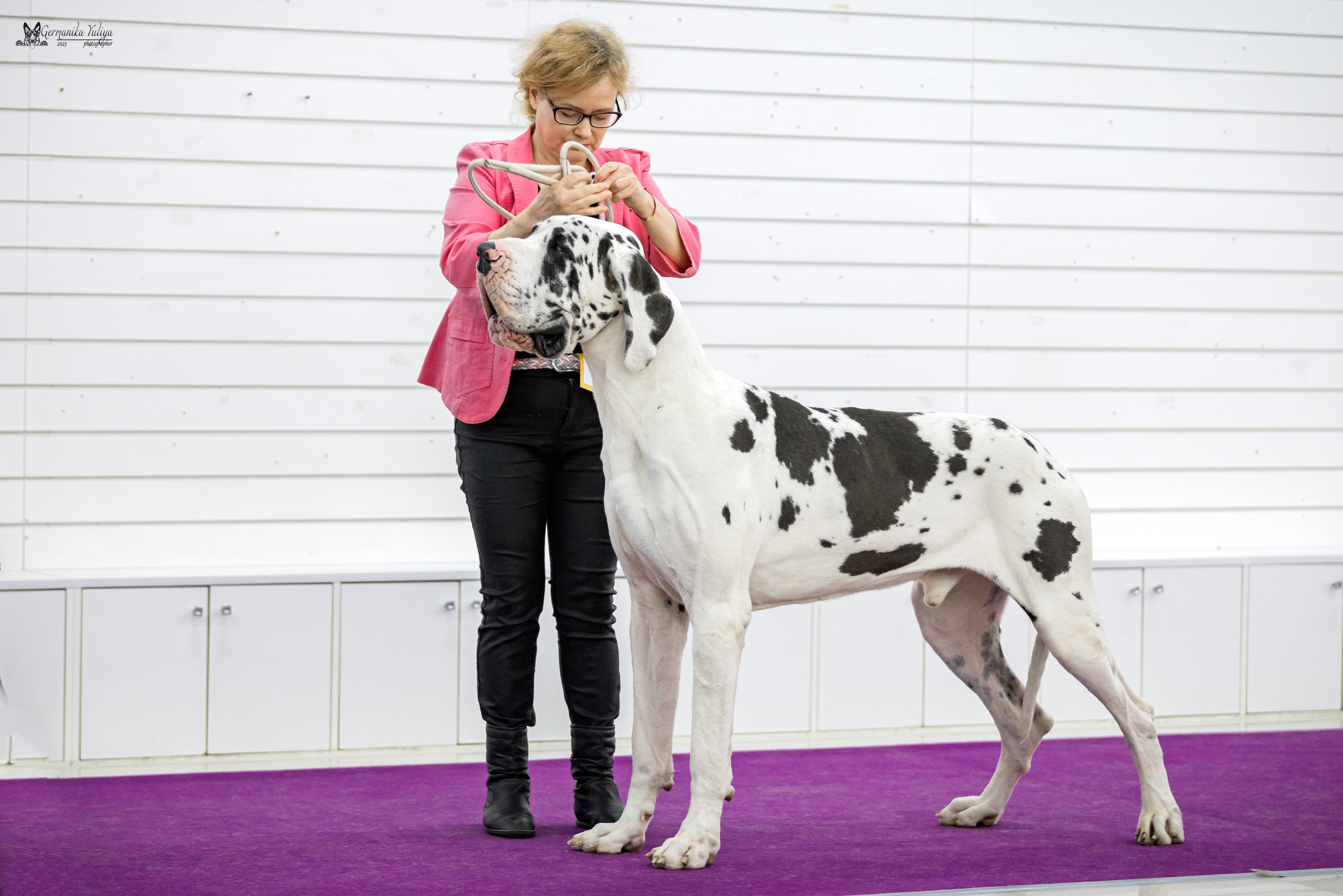 Сфера+МД 8-9.04.2023. Фотограф-анималист Юлия Германика