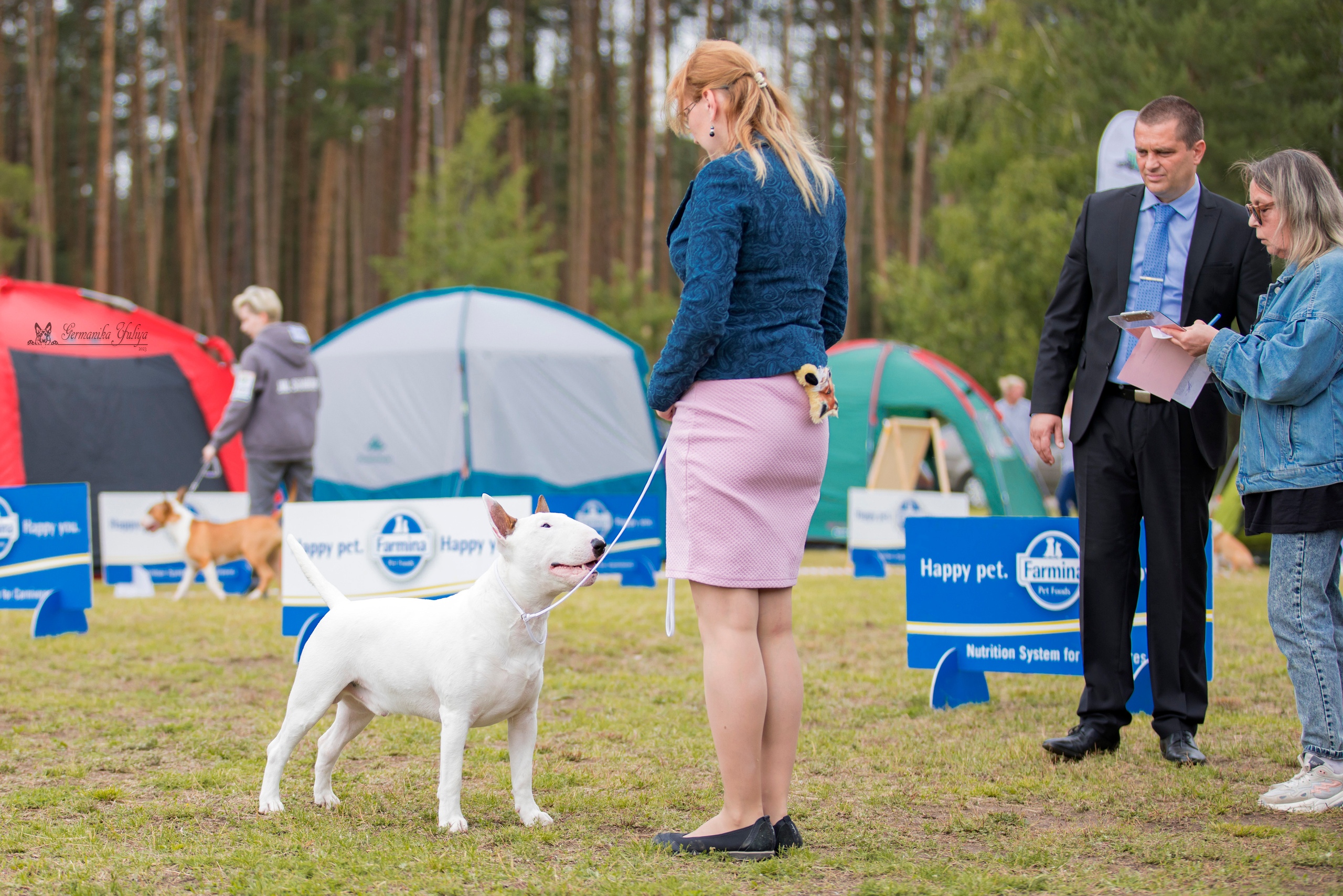 Владимир 1-2.07.2023. Фотограф-анималист Юлия Германика