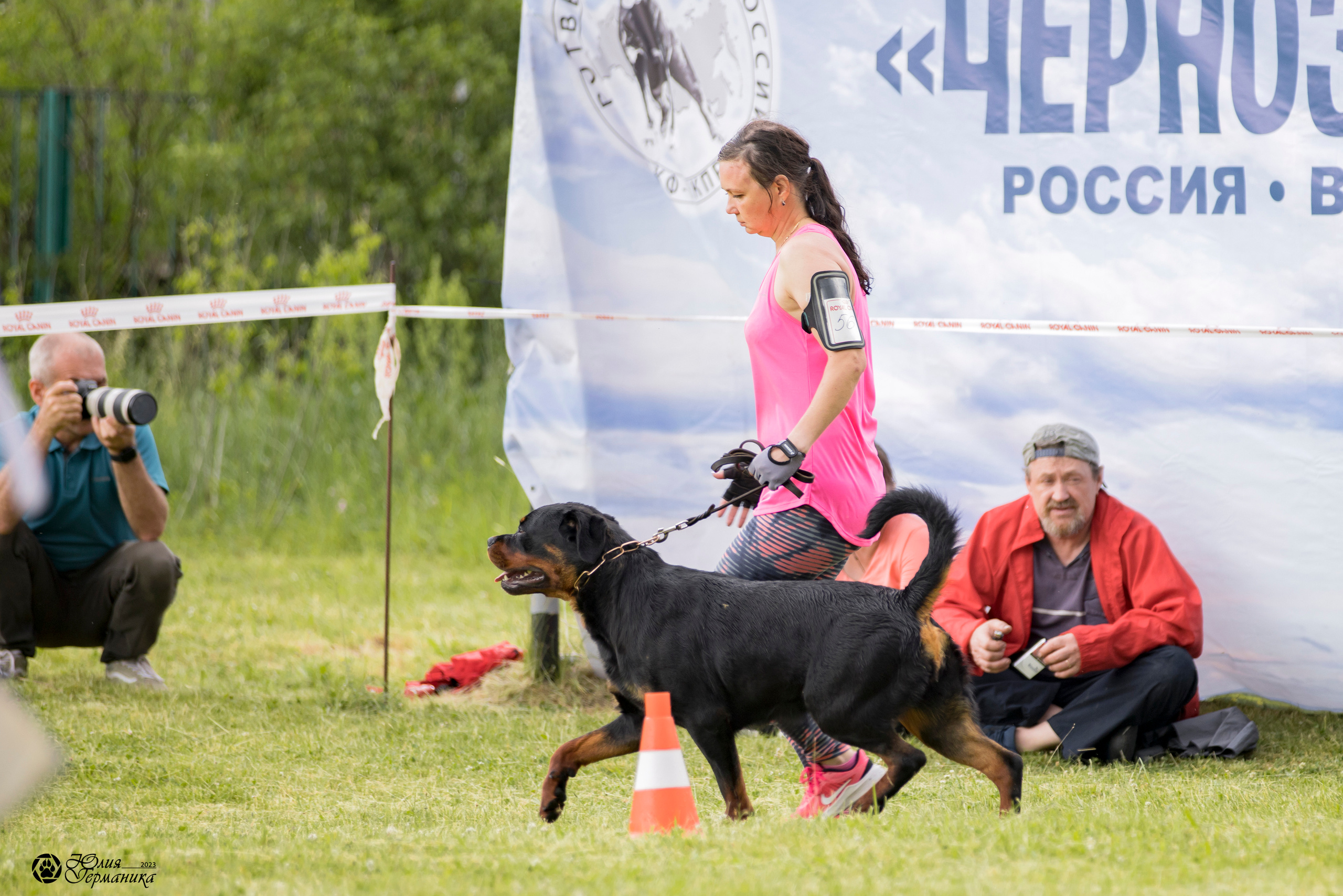 Воронеж 2хмоно ротвейлеров 3-4.06.2023. Фотограф-анималист Юлия Германика