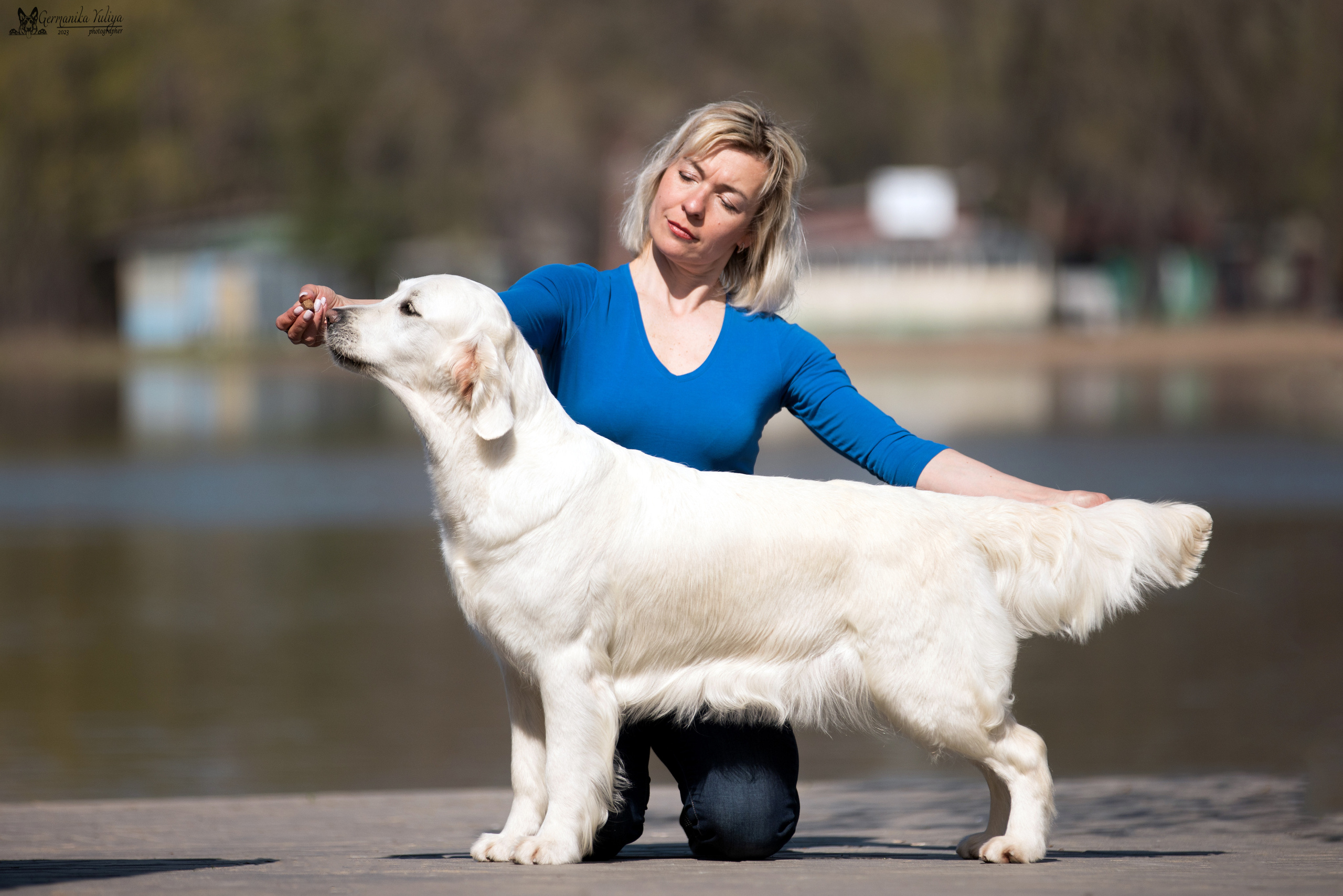 Голдены Саратов 24.04.2023. Фотограф-анималист Юлия Германика