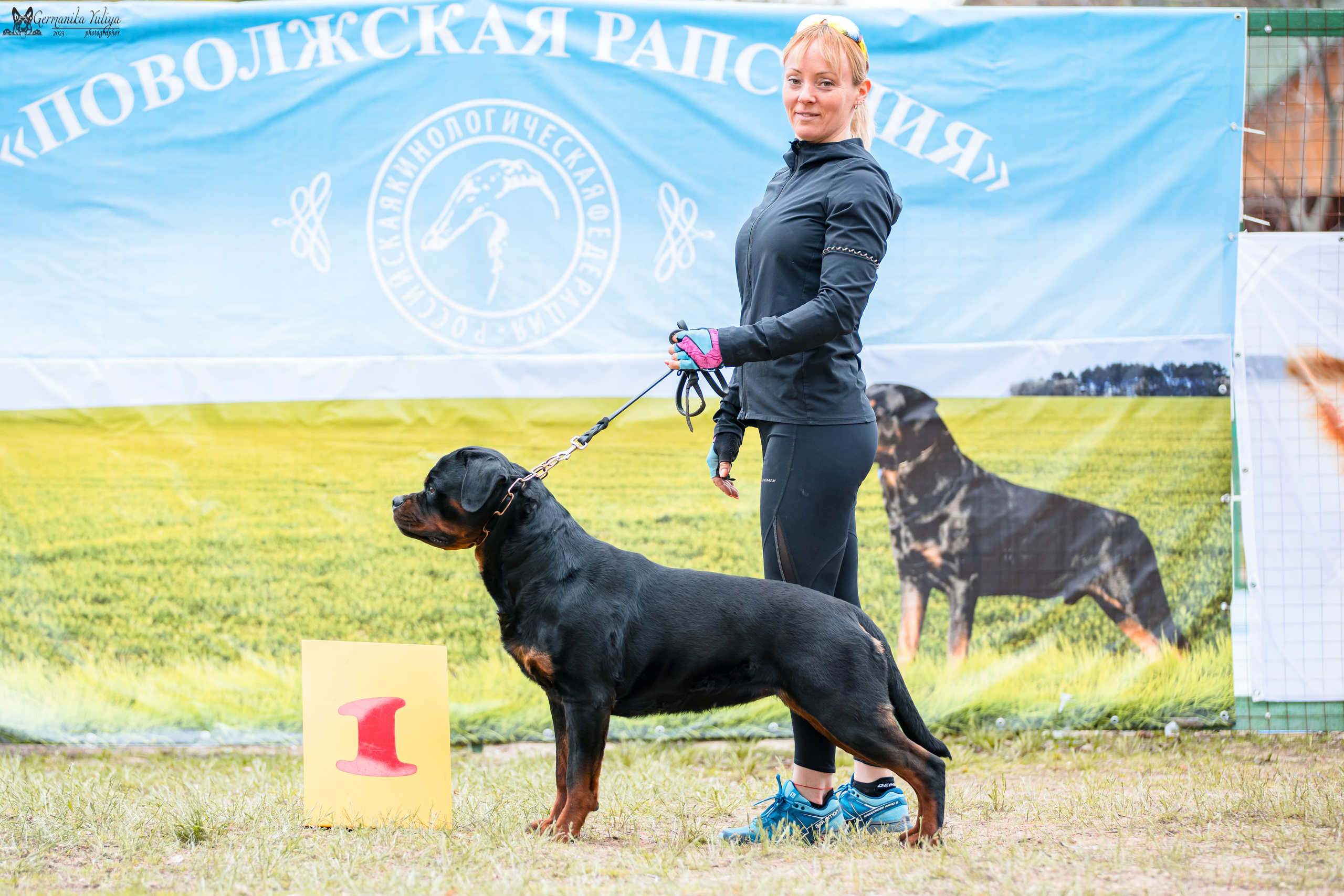 Саратов 2хмоно ротвейлеров 22-23.04.2023. Фотограф-анималист Юлия Германика