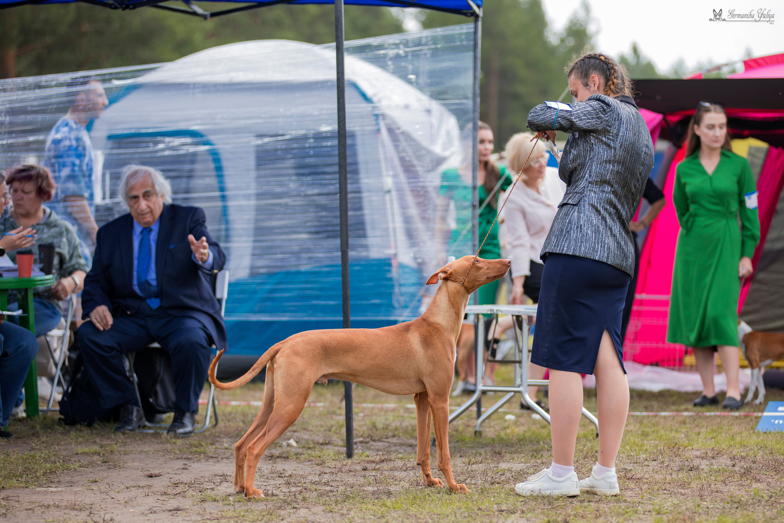Владимир 1-2.07.2023. Фотограф-анималист Юлия Германика