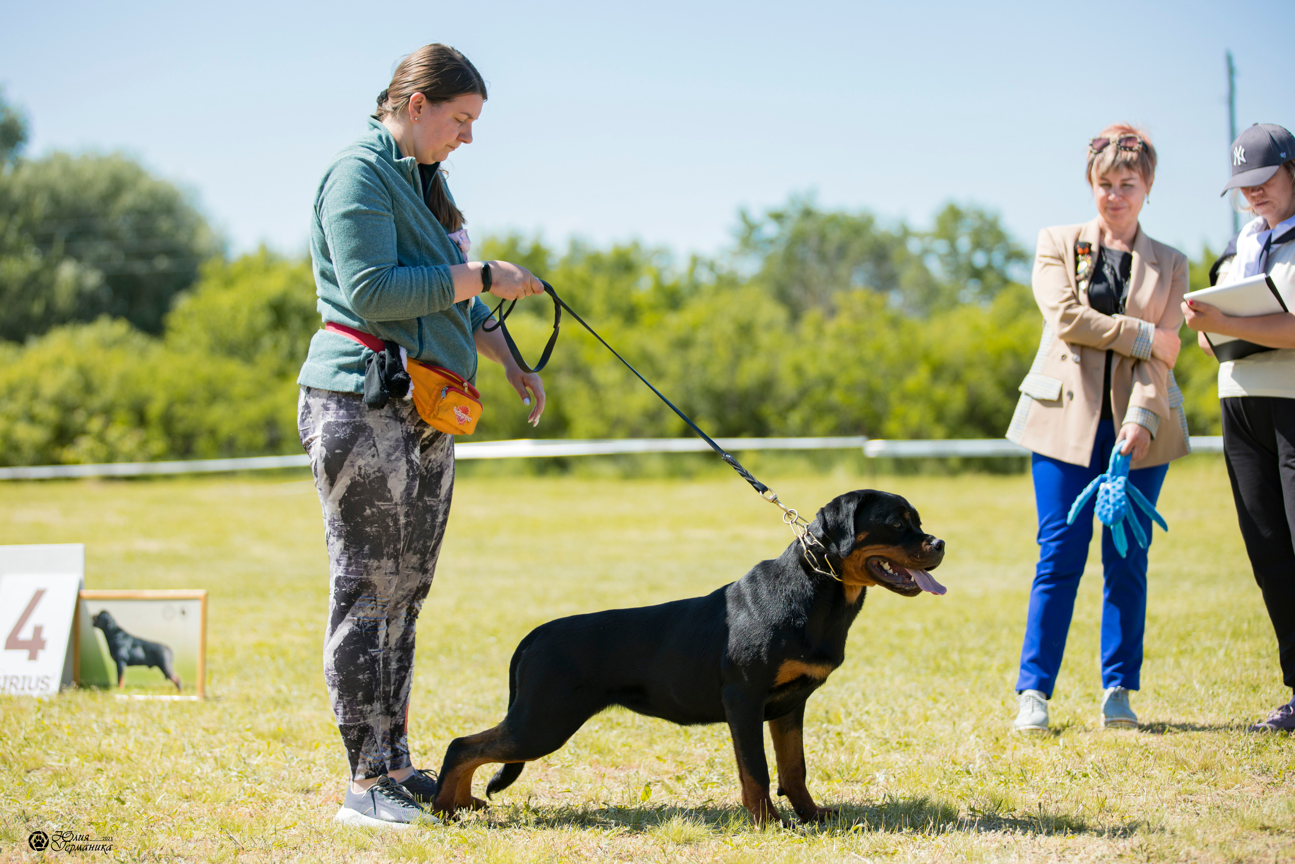 Воронеж 2хмоно ротвейлеров 3-4.06.2023. Фотограф-анималист Юлия Германика
