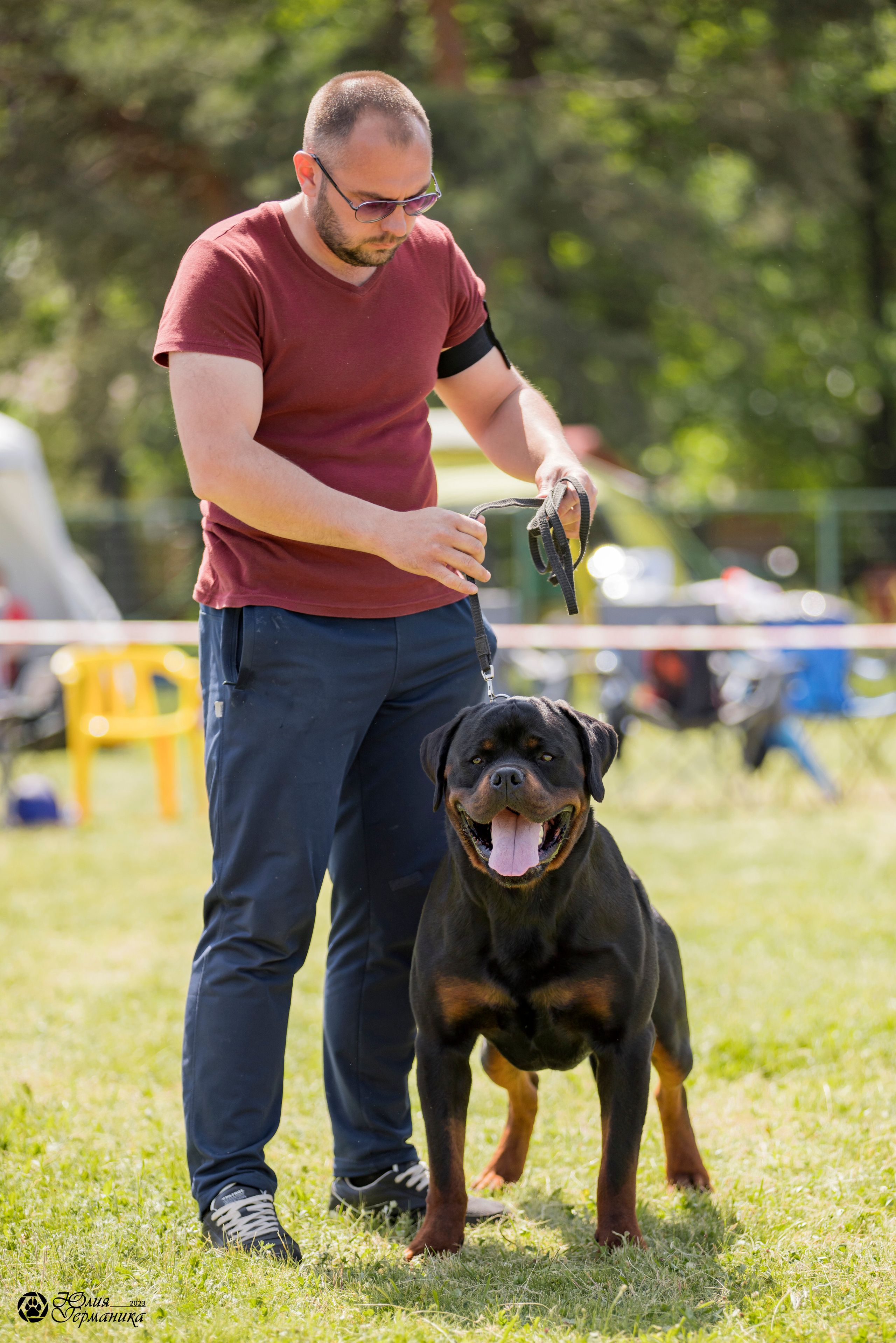 Воронеж 2хмоно ротвейлеров 3-4.06.2023. Фотограф-анималист Юлия Германика