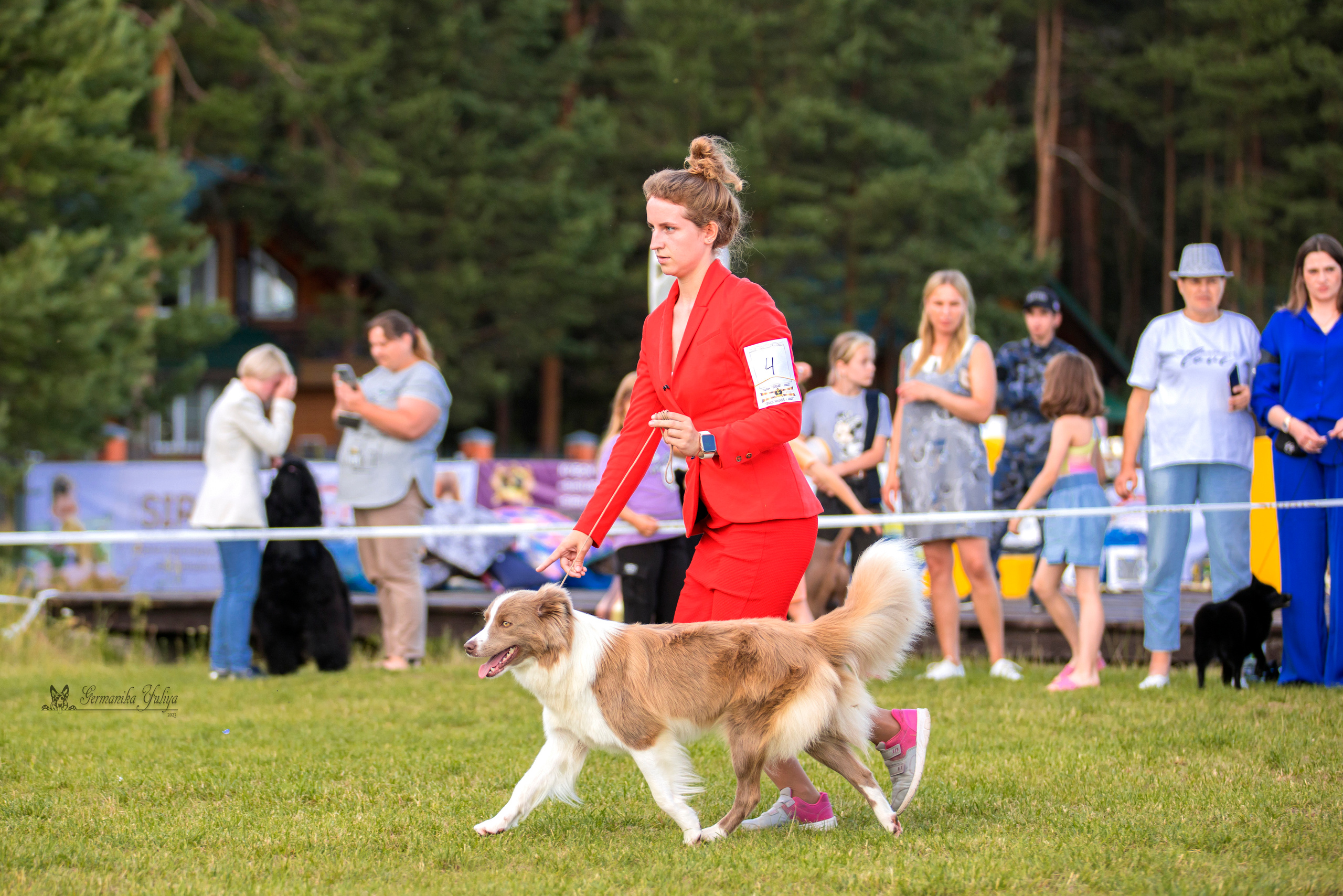 Волжанка 8.07.2023. Фотограф-анималист Юлия Германика