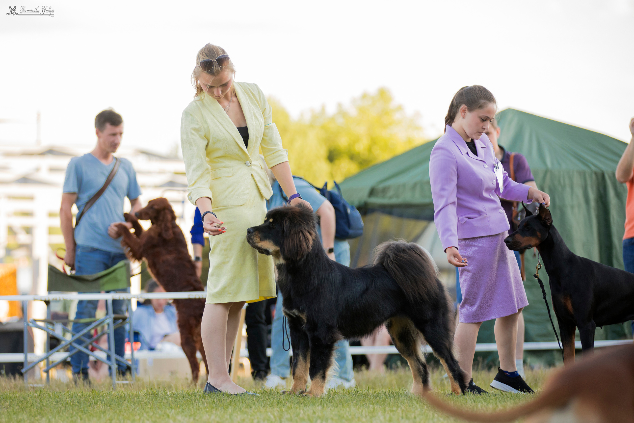 Волжанка 8.07.2023. Фотограф-анималист Юлия Германика