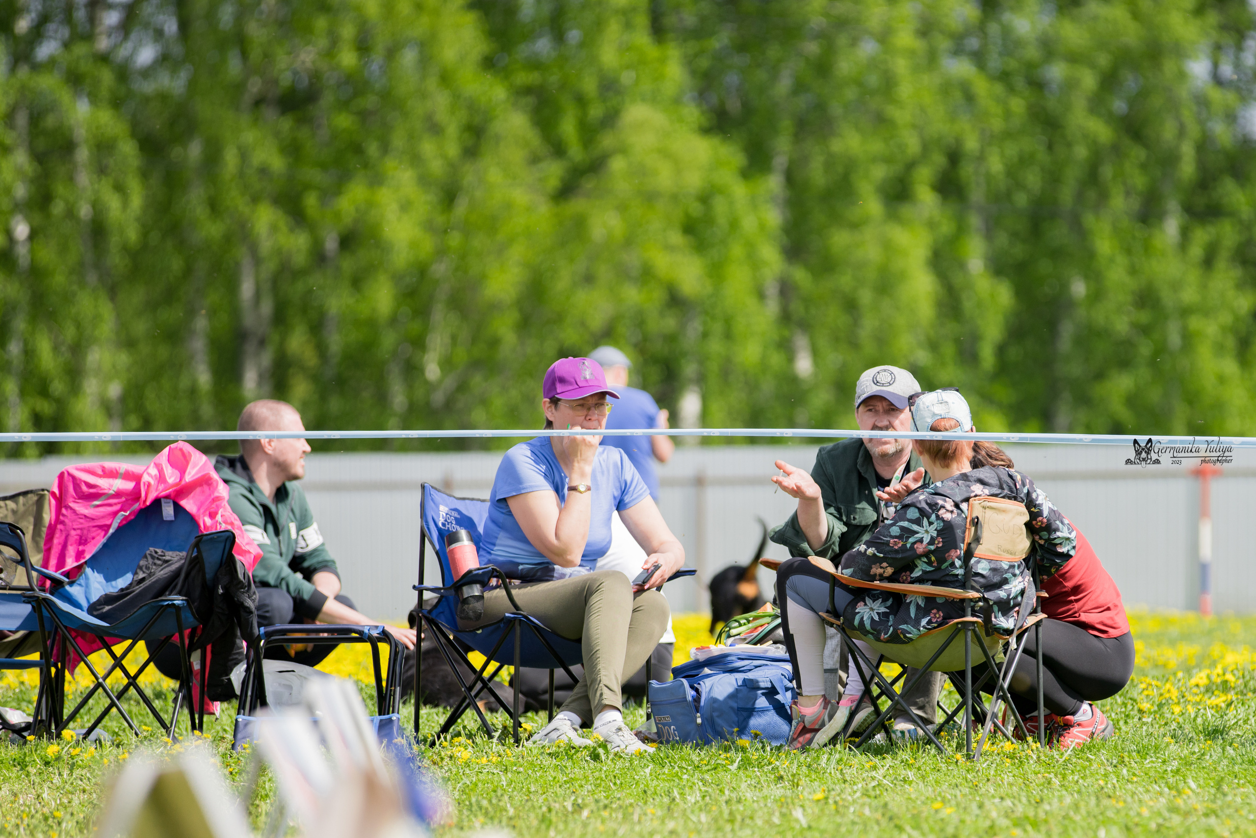 Нижний Новгород моно ротвейлеров 13.05.2023. Фотограф-анималист Юлия Германика