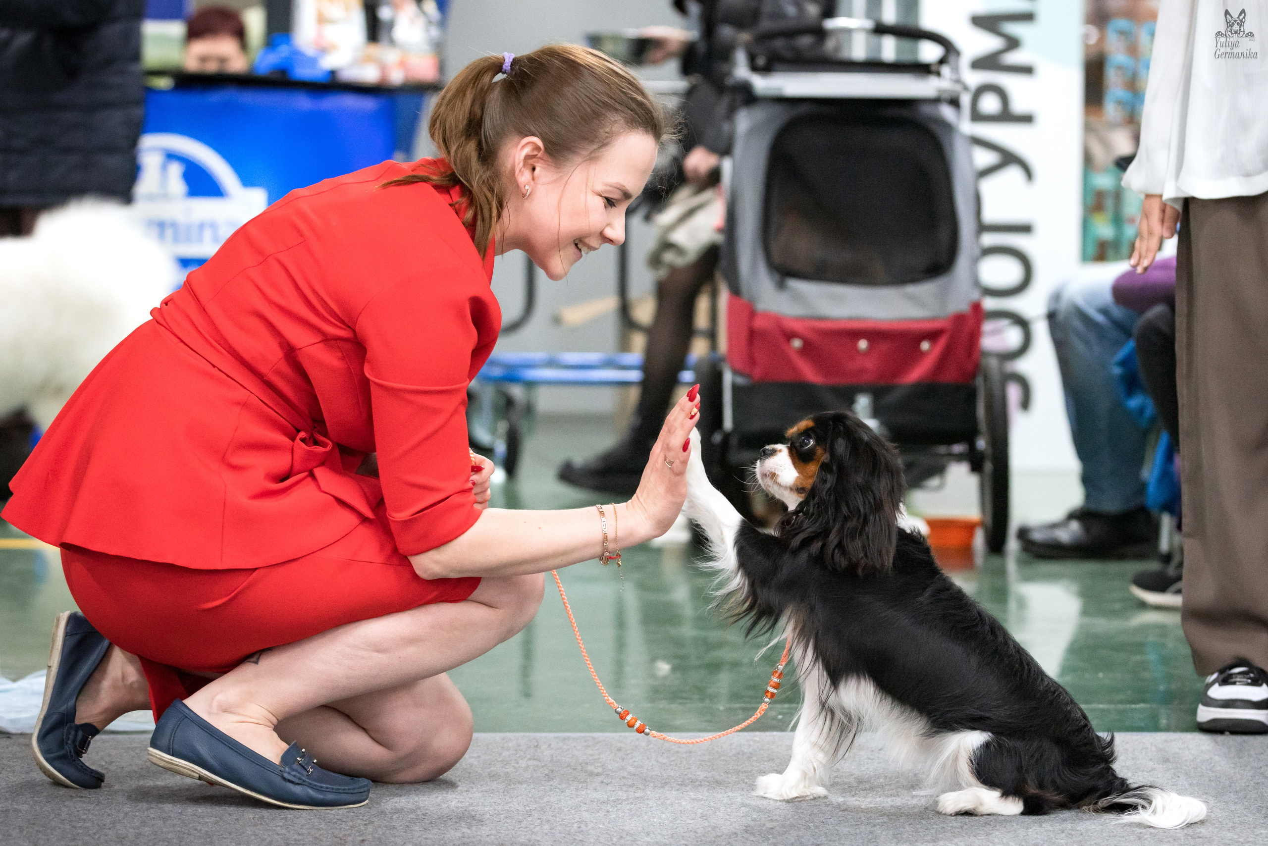 Сфера 25-26.03.2023. Фотограф-анималист Юлия Германика