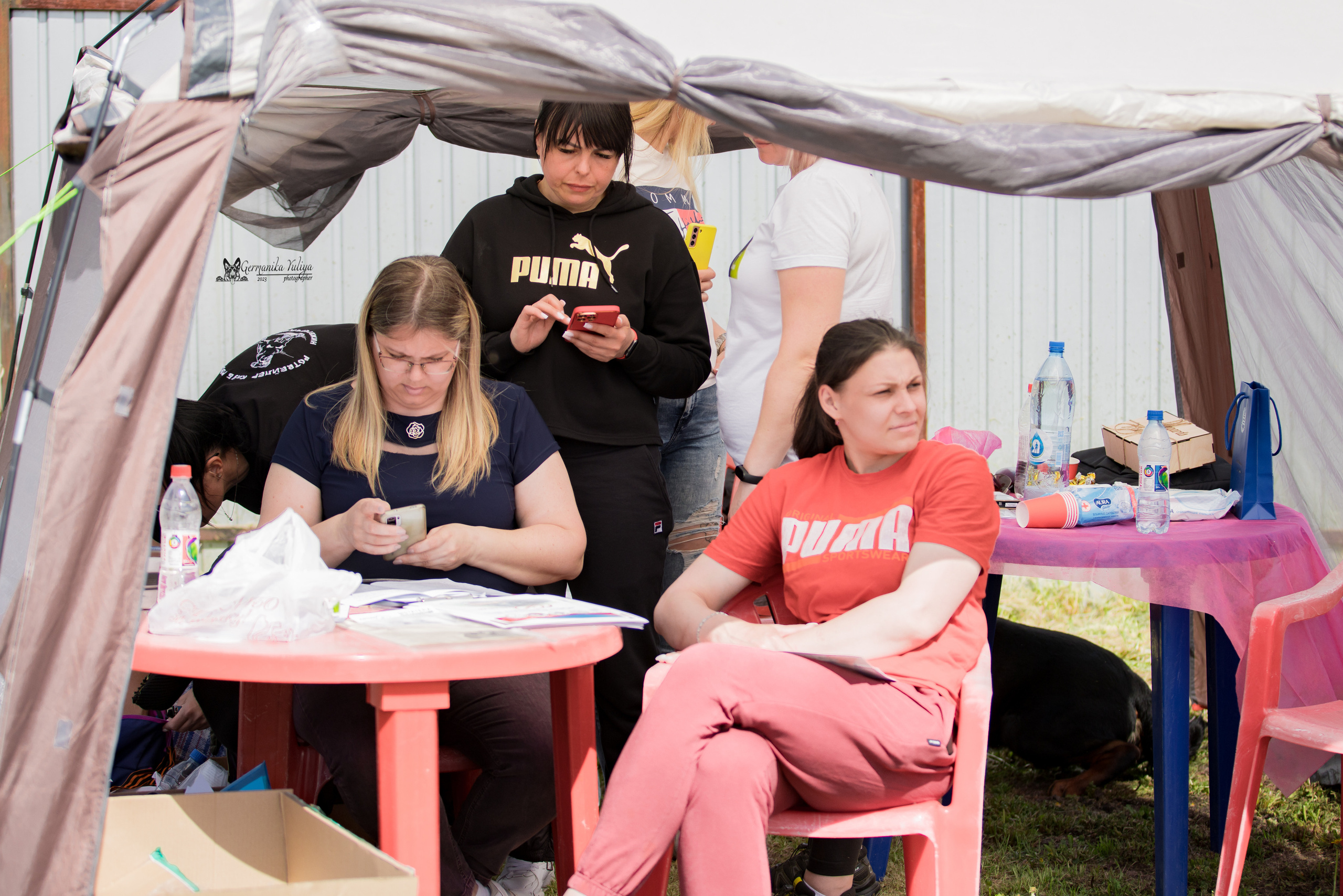 Нижний Новгород моно ротвейлеров 13.05.2023. Фотограф-анималист Юлия Германика