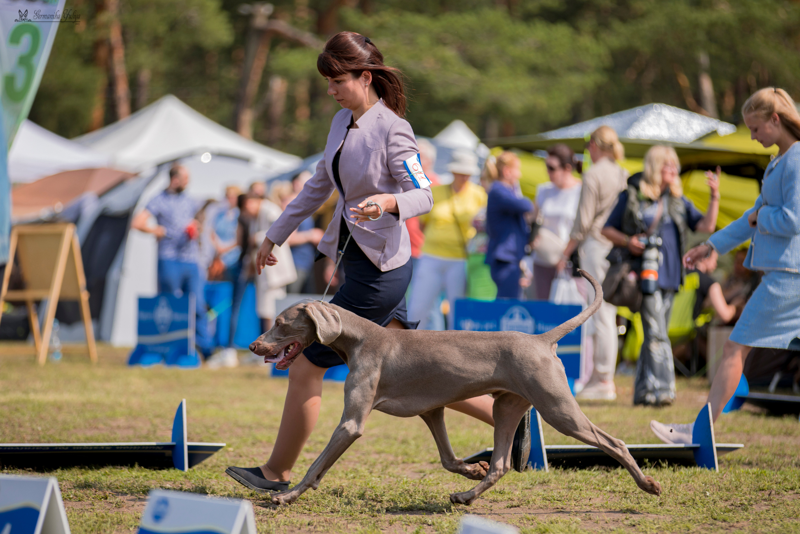 Владимир 1-2.07.2023. Фотограф-анималист Юлия Германика