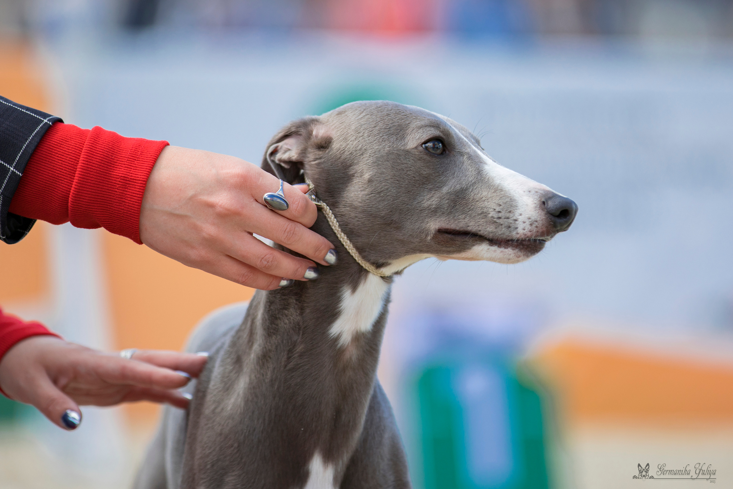 Россия 10-11.06.2023. Фотограф-анималист Юлия Германика