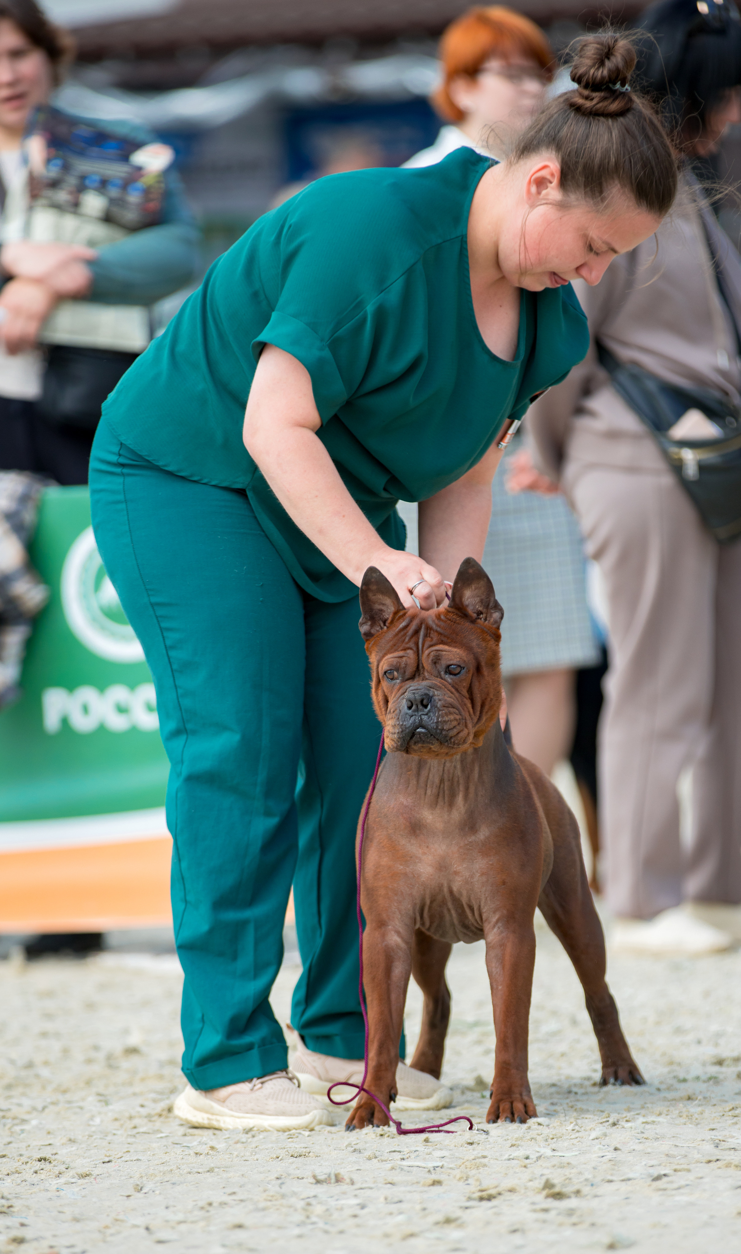 Россия 10-11.06.2023. Фотограф-анималист Юлия Германика
