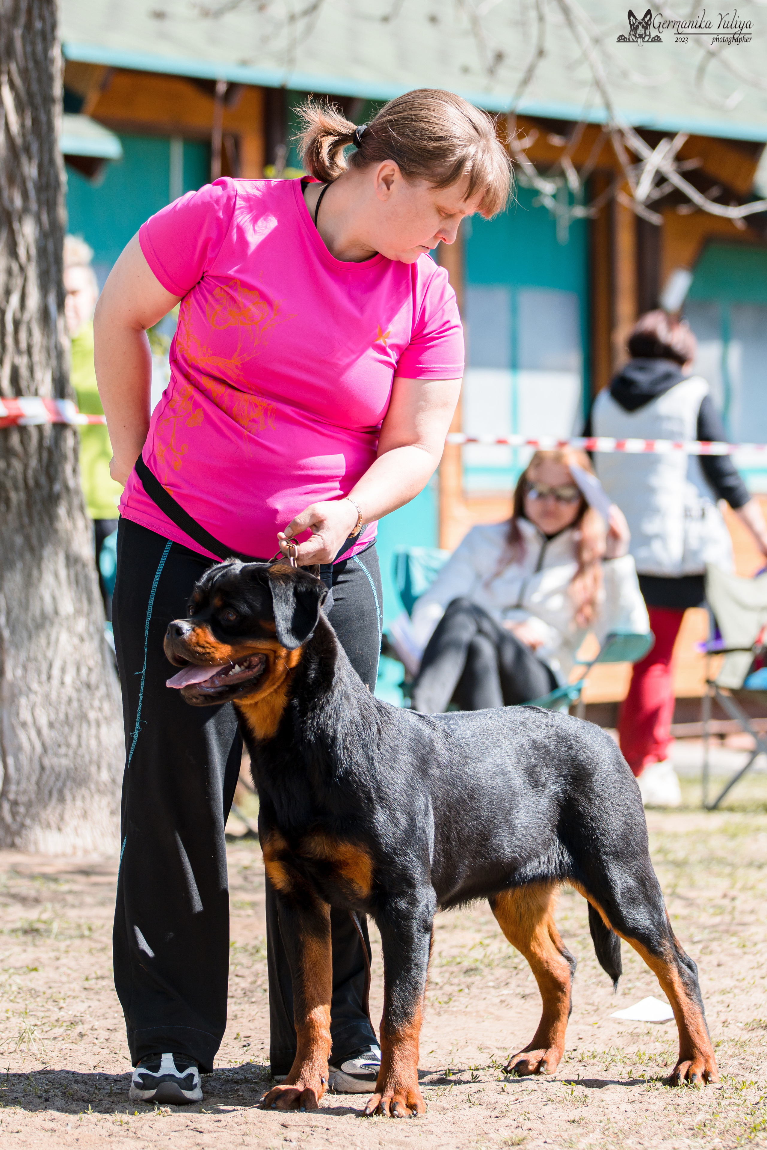 Саратов 2хмоно ротвейлеров 22-23.04.2023. Фотограф-анималист Юлия Германика