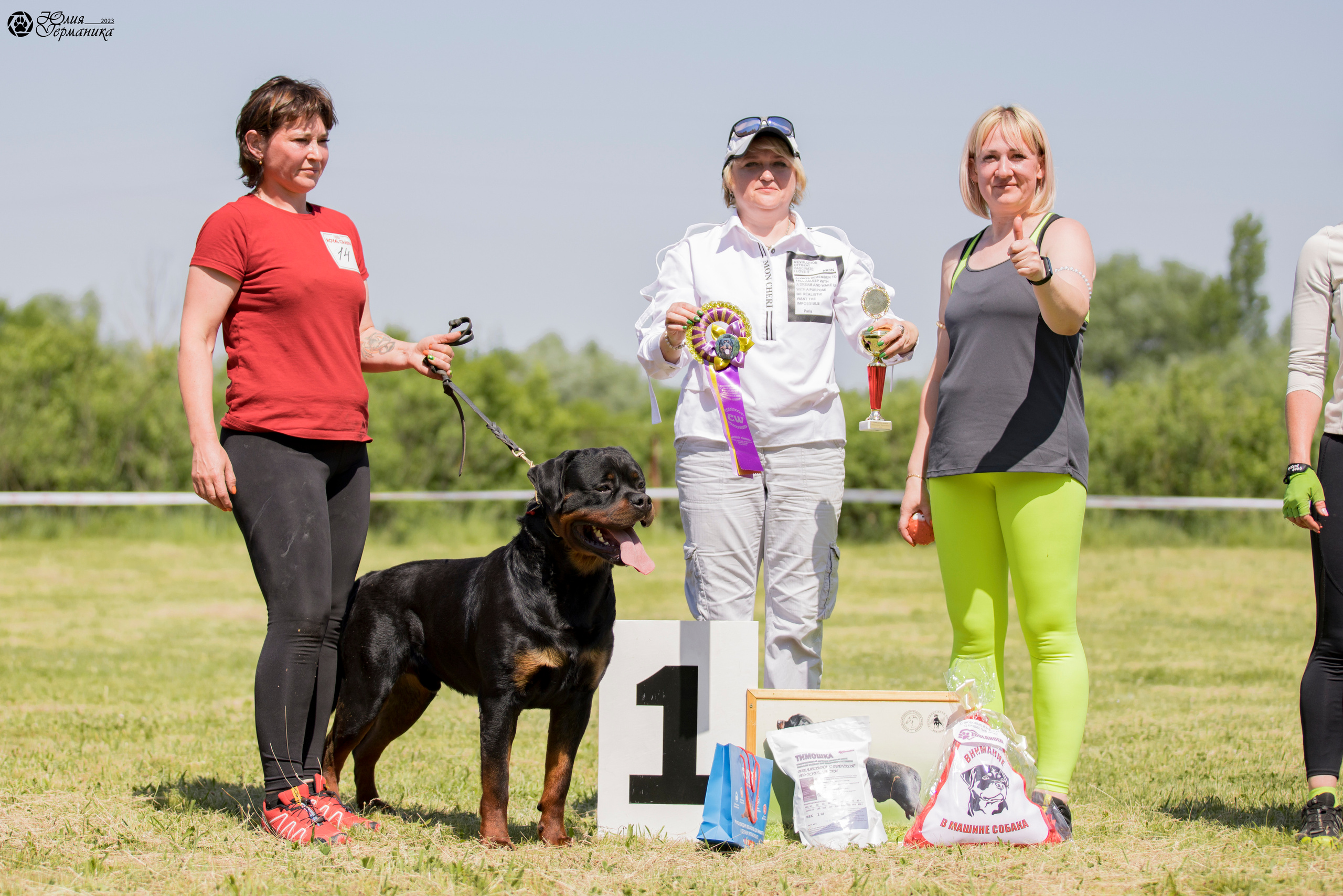 Воронеж 2хмоно ротвейлеров 3-4.06.2023. Фотограф-анималист Юлия Германика