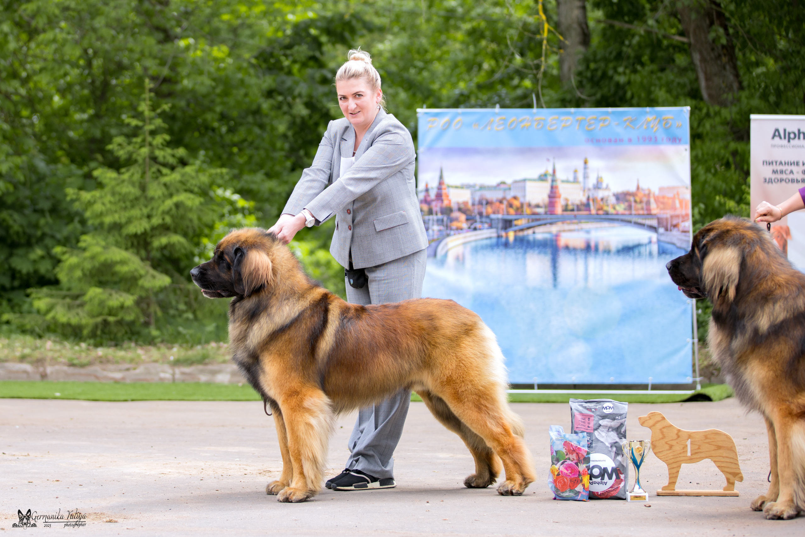 Националка Леонбергеров 28.05.2023. Фотограф-анималист Юлия Германика