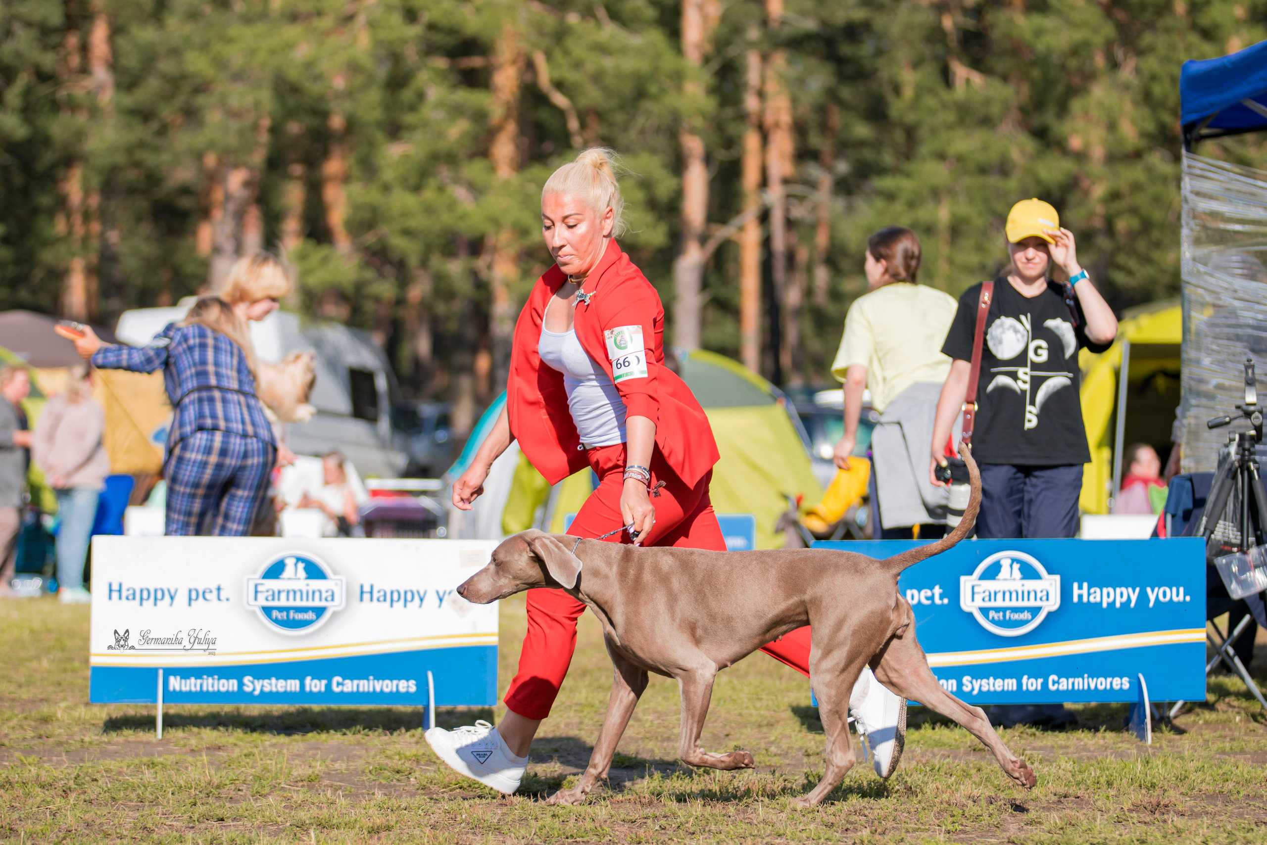 Владимир 1-2.07.2023. Фотограф-анималист Юлия Германика