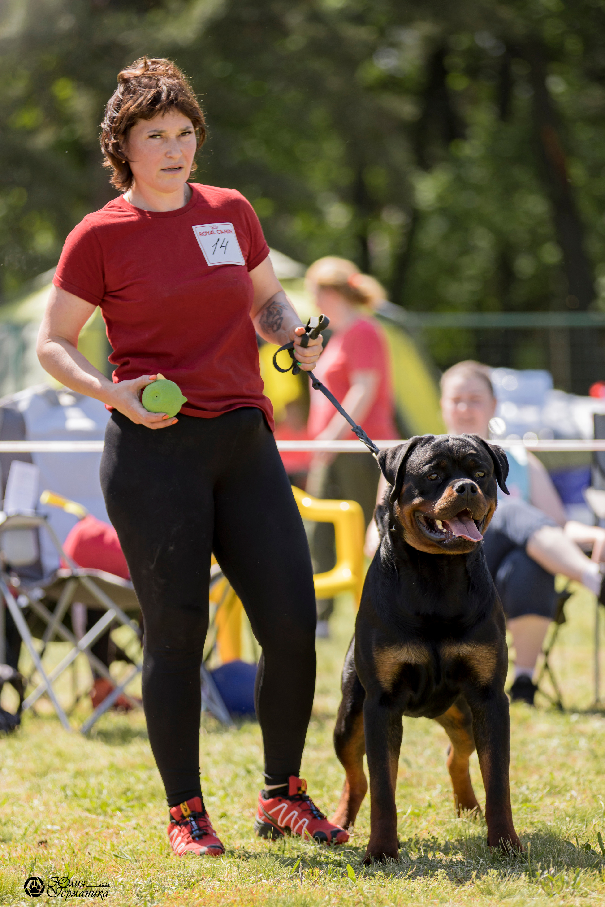 Воронеж 2хмоно ротвейлеров 3-4.06.2023. Фотограф-анималист Юлия Германика