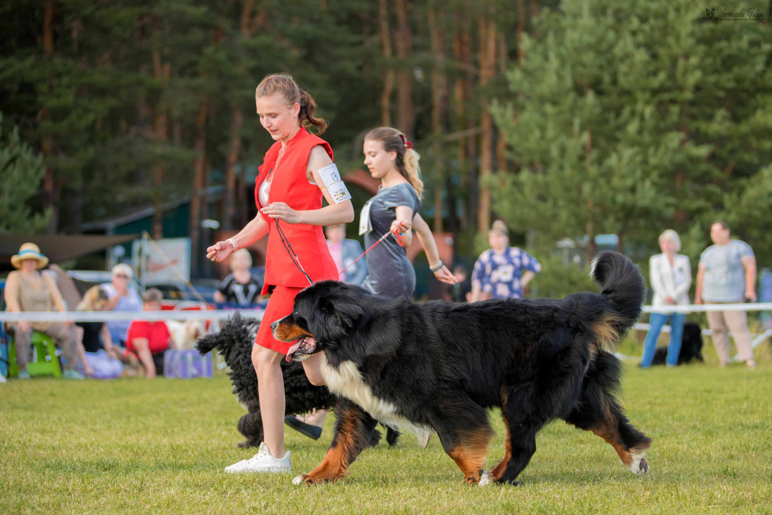 Волжанка 8.07.2023. Фотограф-анималист Юлия Германика