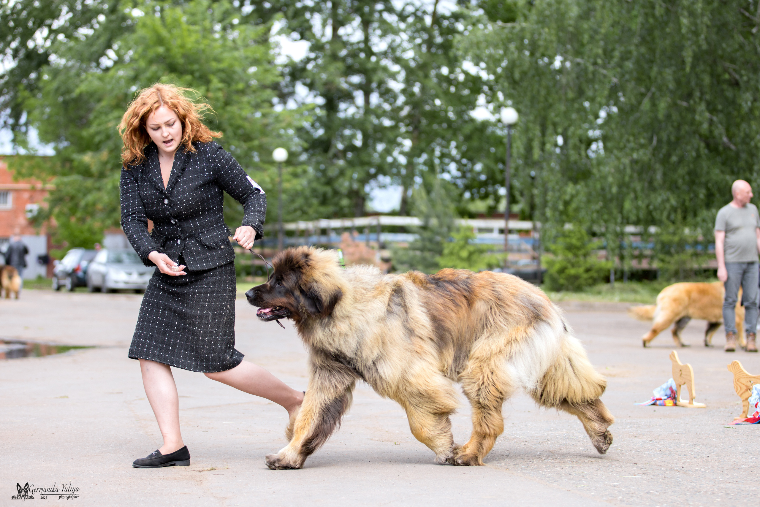 Националка Леонбергеров 28.05.2023. Фотограф-анималист Юлия Германика