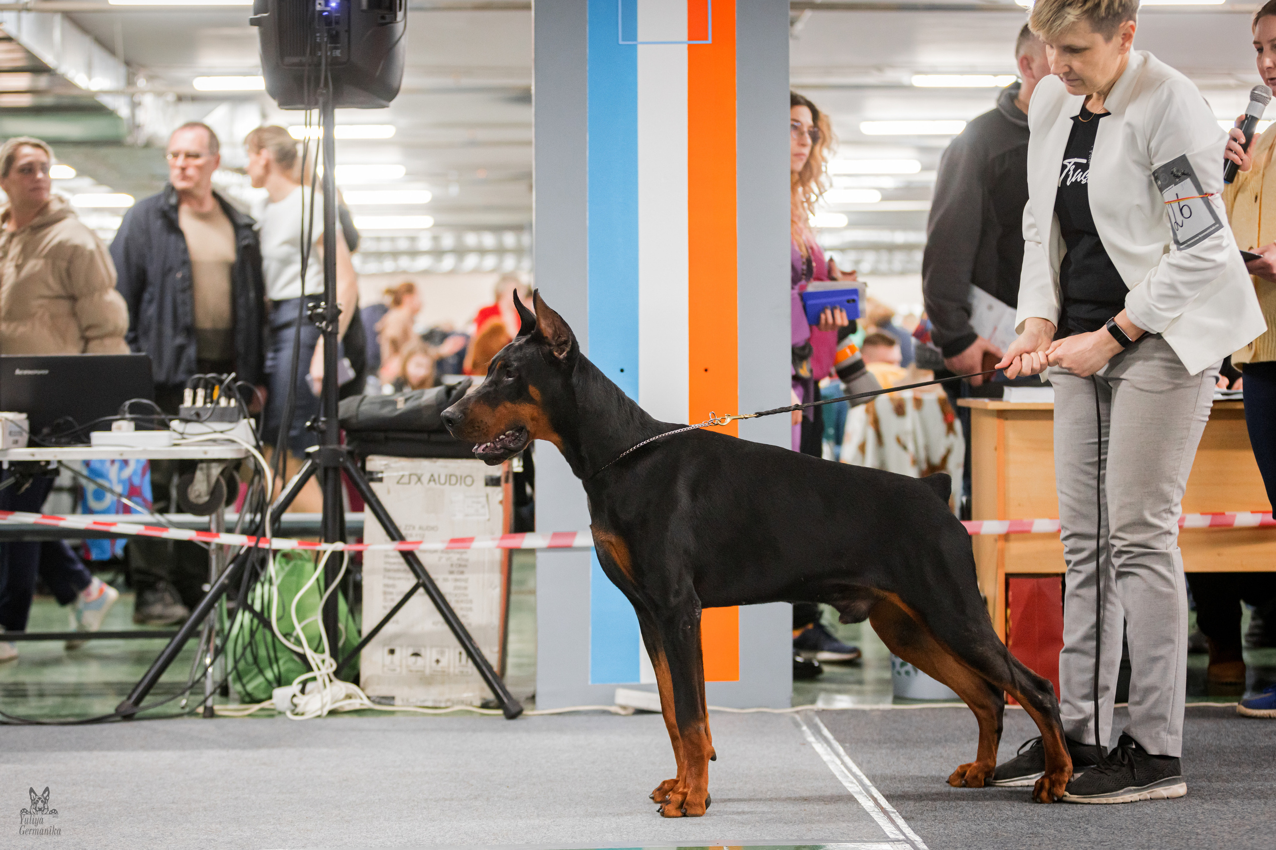 Сфера+доберманы 02.04.2023. Фотограф-анималист Юлия Германика