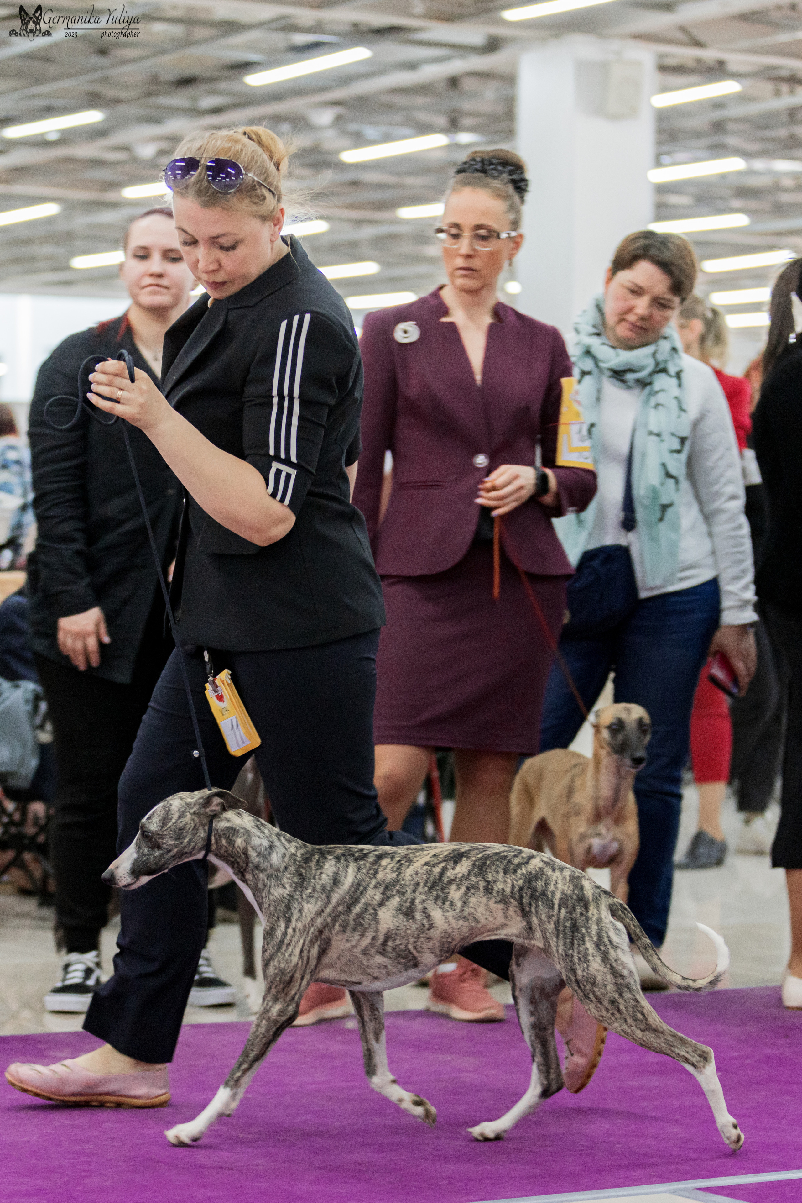 Сфера+МД 8-9.04.2023. Фотограф-анималист Юлия Германика