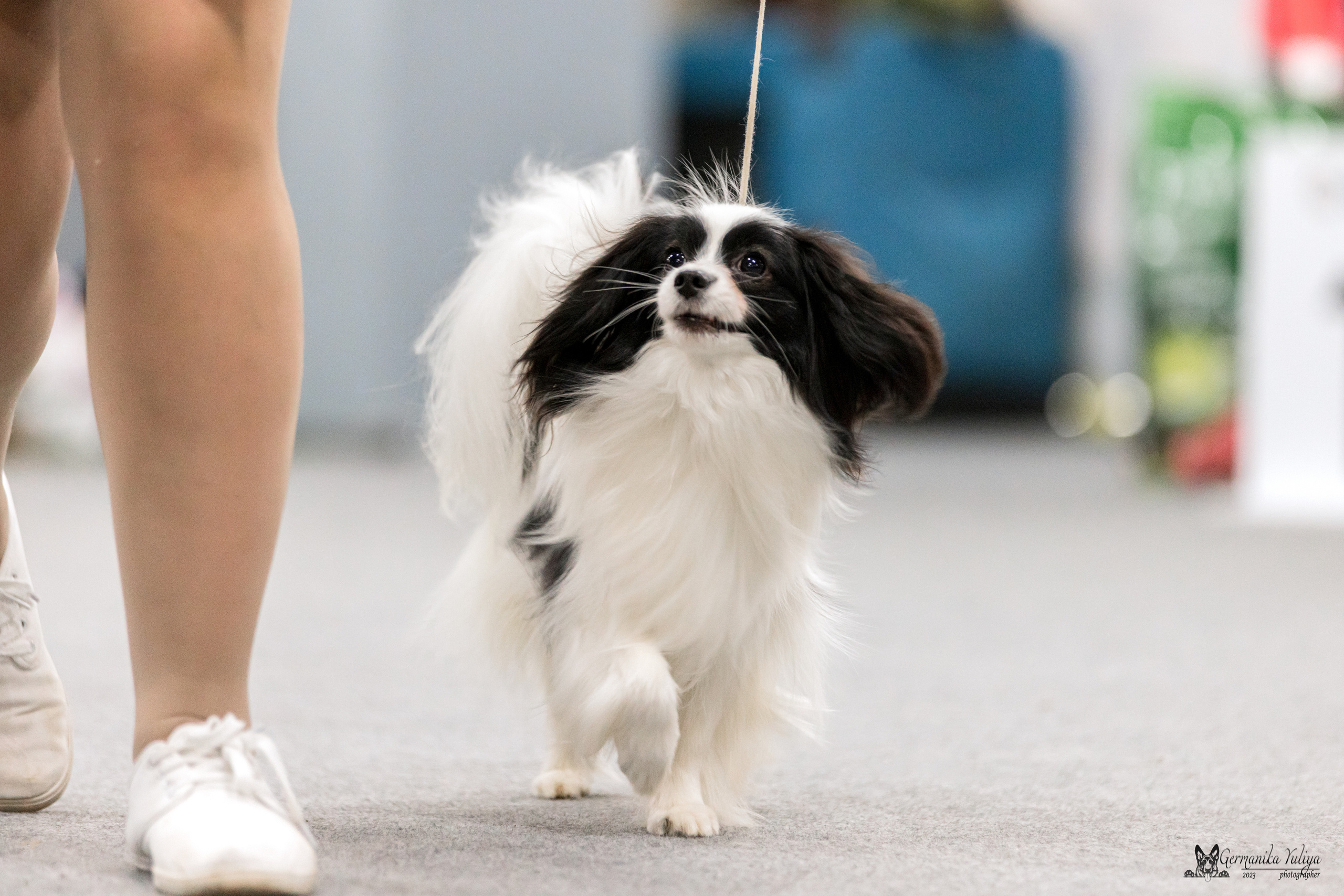 Сфера+МД 8-9.04.2023. Фотограф-анималист Юлия Германика