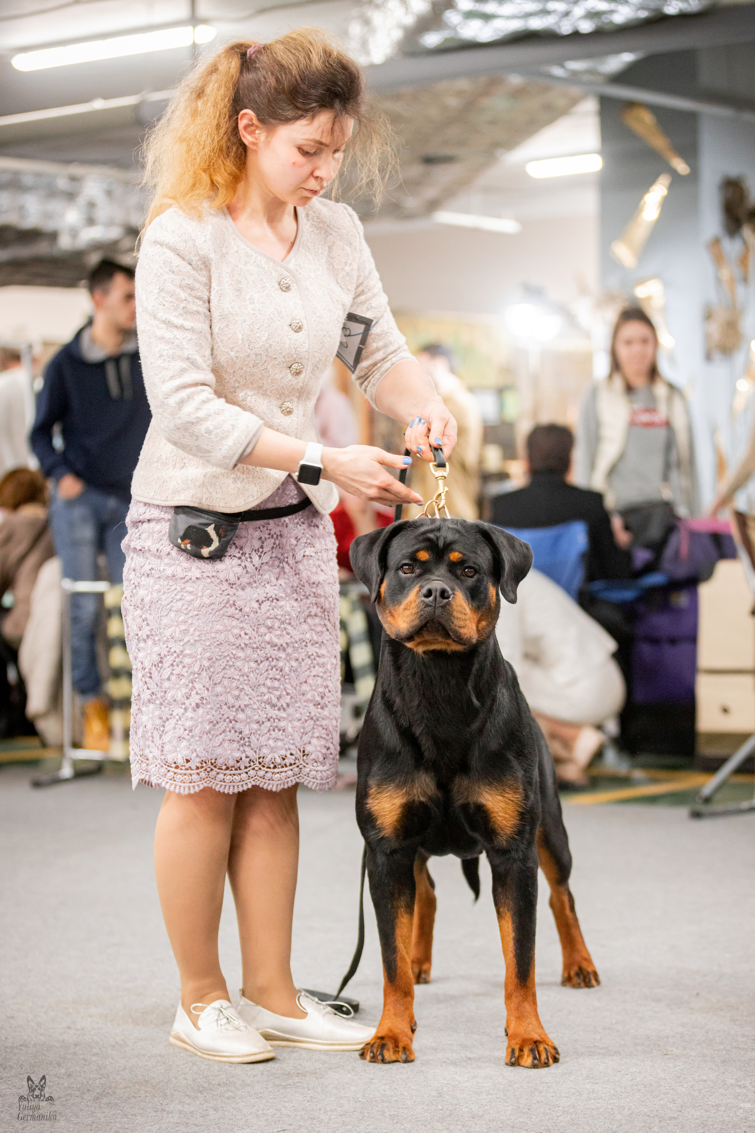 Сфера+доберманы 02.04.2023. Фотограф-анималист Юлия Германика