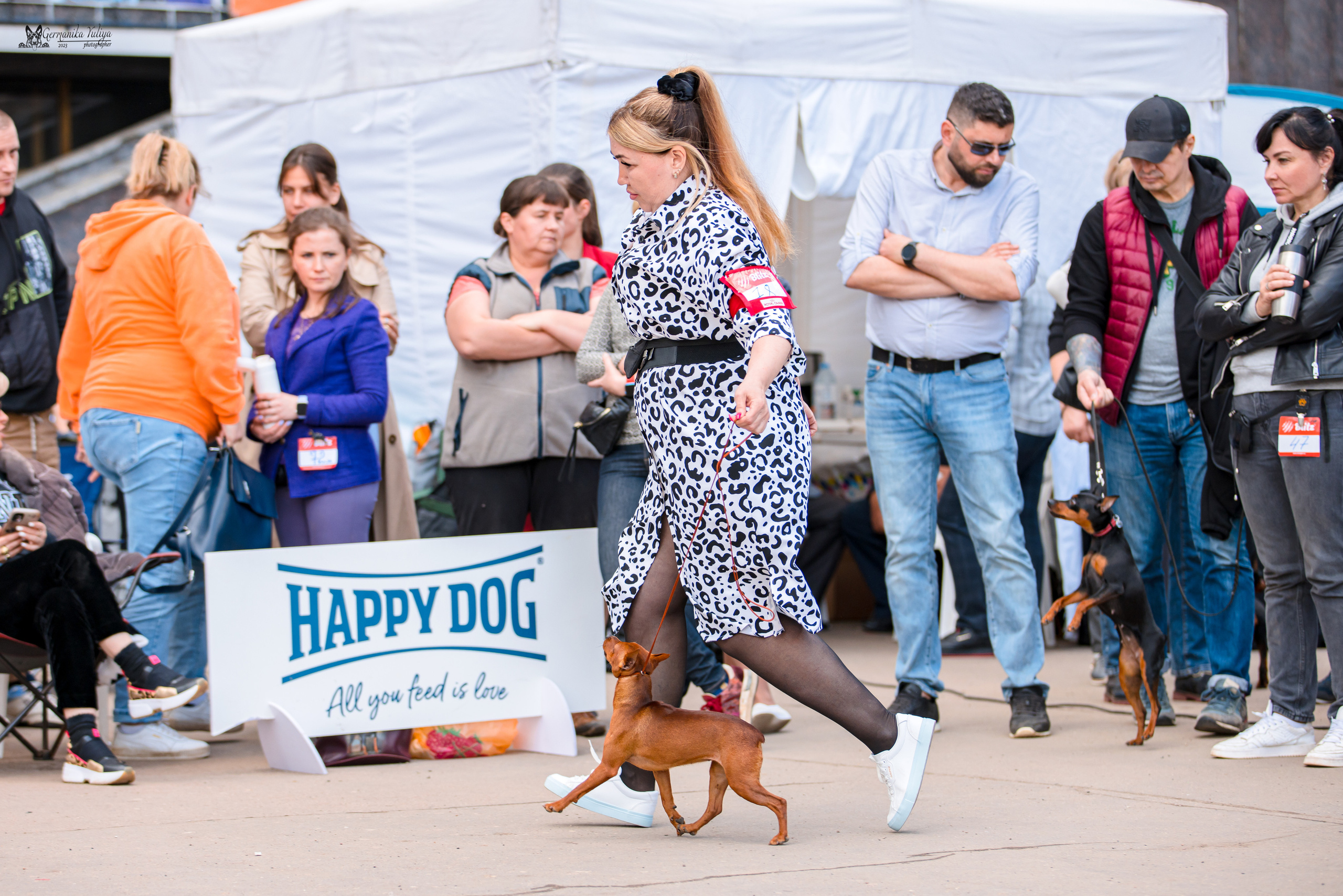 Измайлово 21.05.2023. Фотограф-анималист Юлия Германика