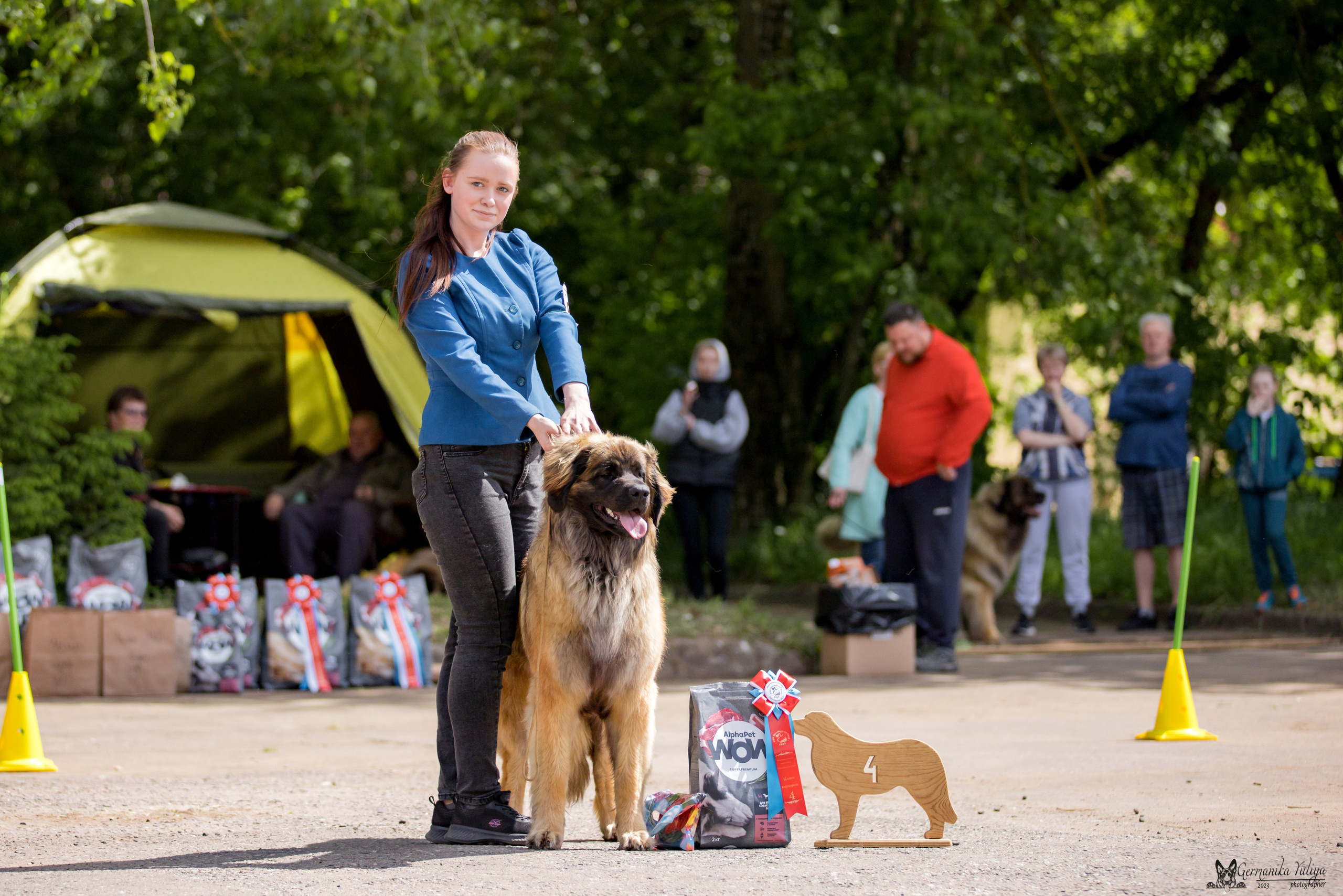 Националка Леонбергеров 28.05.2023. Фотограф-анималист Юлия Германика