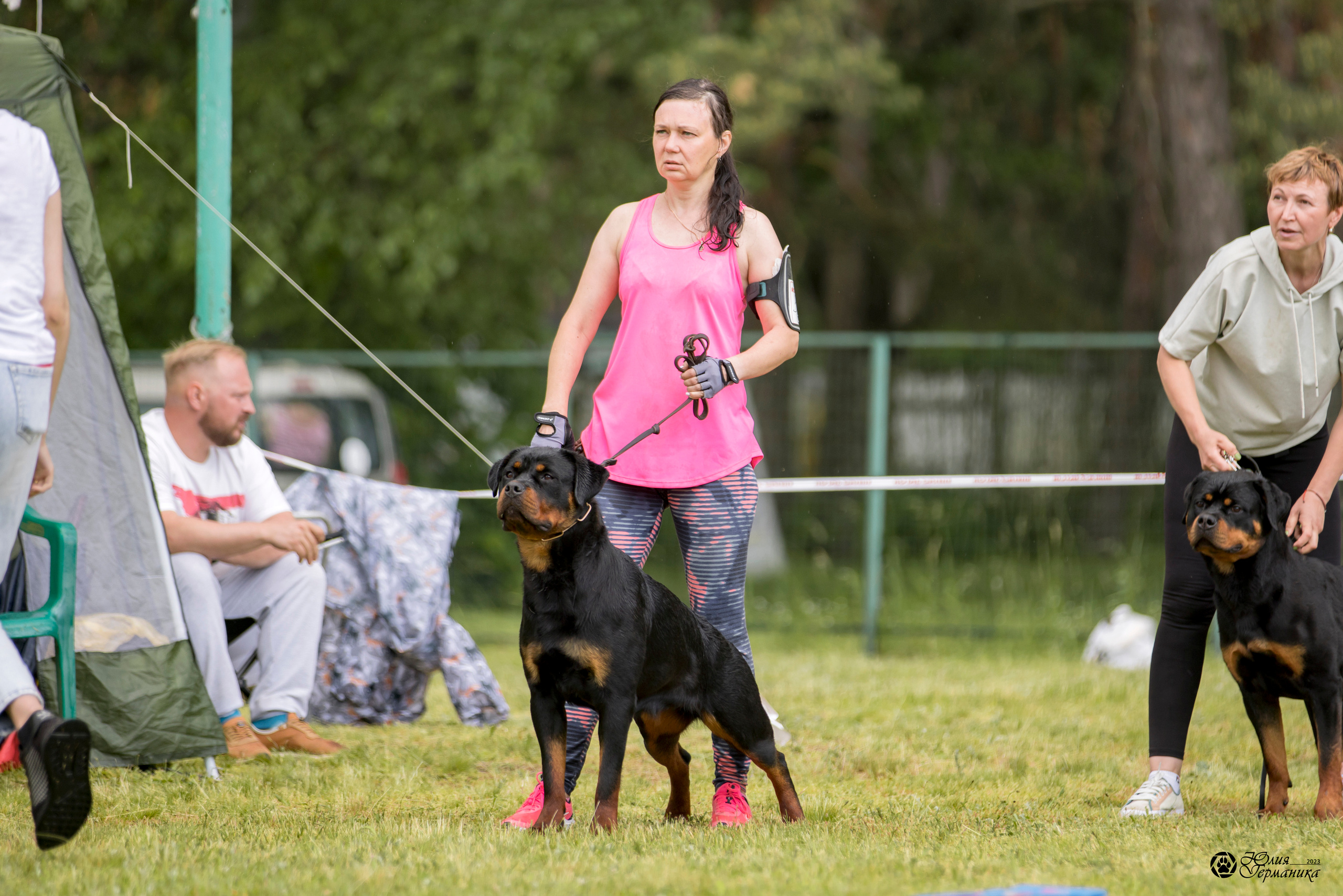 Воронеж 2хмоно ротвейлеров 3-4.06.2023. Фотограф-анималист Юлия Германика