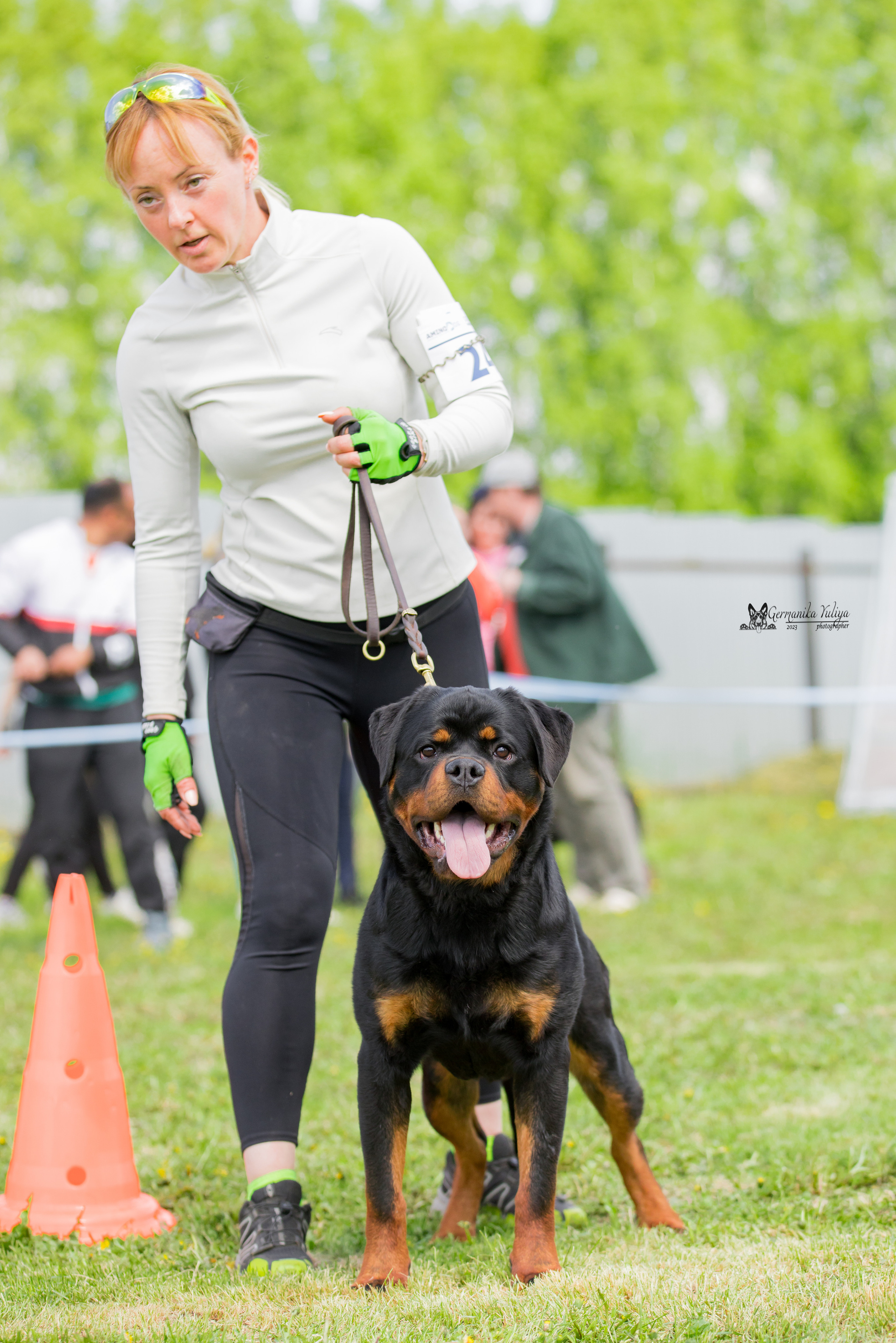 Нижний Новгород моно ротвейлеров 13.05.2023. Фотограф-анималист Юлия Германика