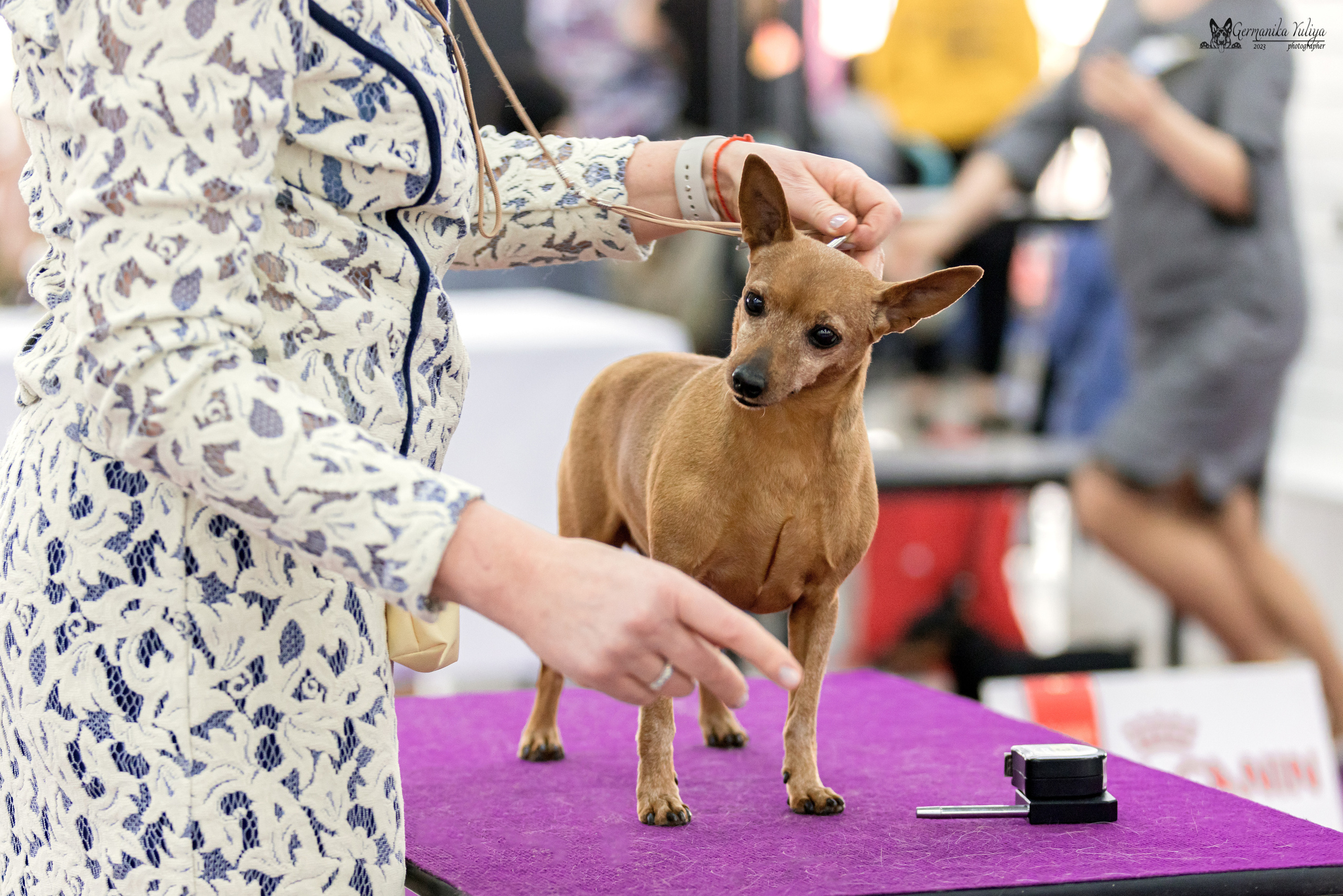 МД 15.04.2023. Фотограф-анималист Юлия Германика