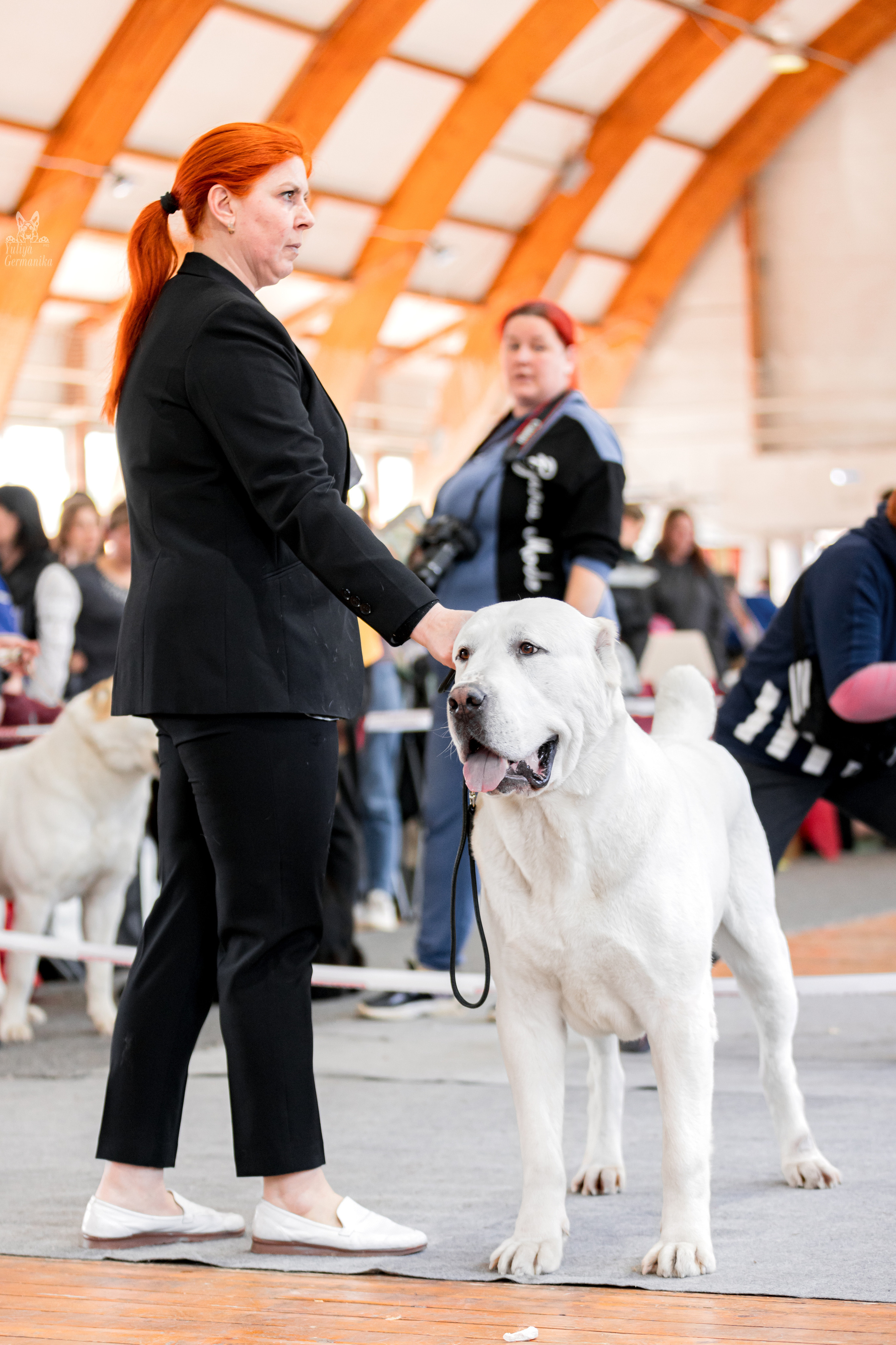 Тверь 01.04.2023. Фотограф-анималист Юлия Германика