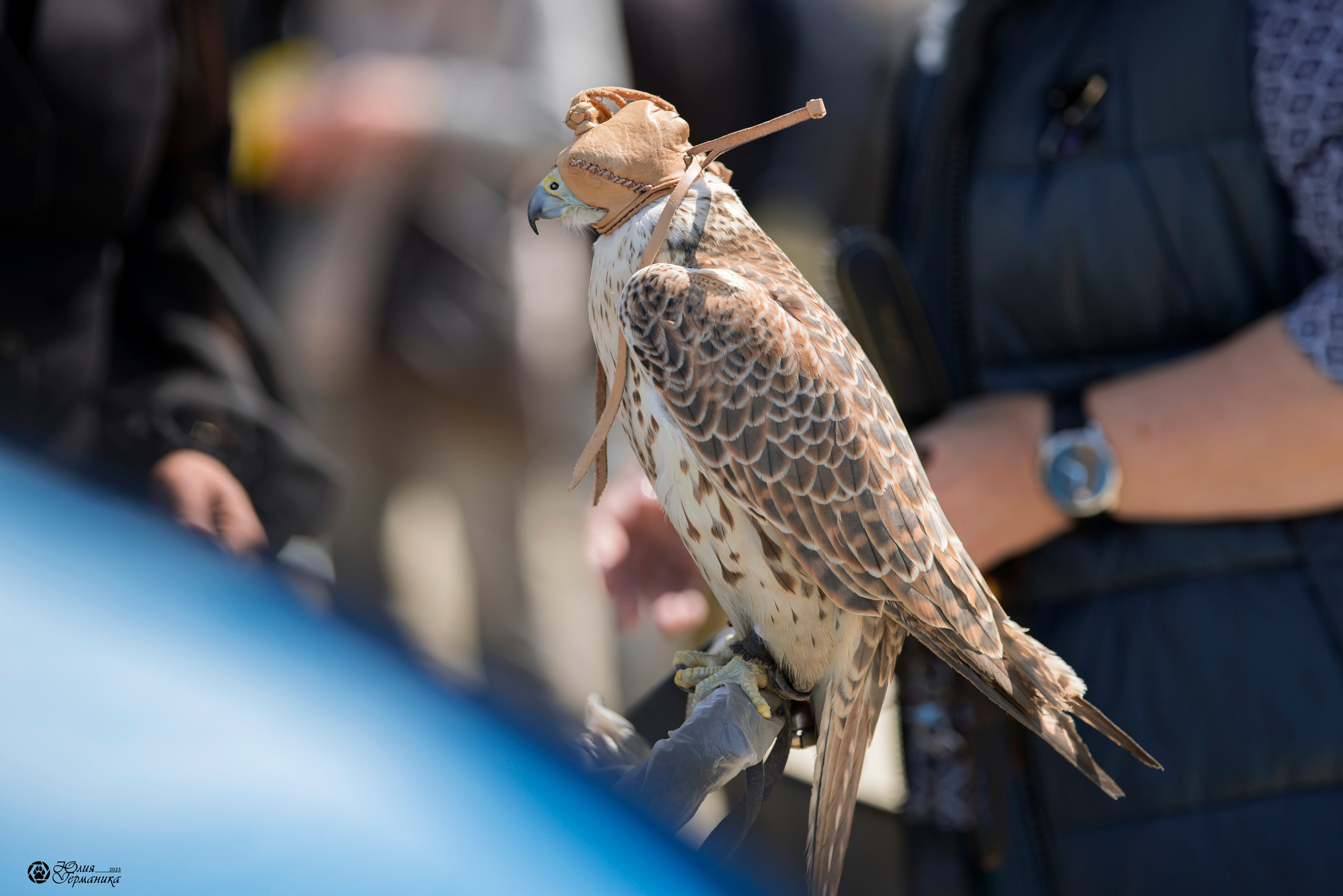Россия 10-11.06.2023. Фотограф-анималист Юлия Германика