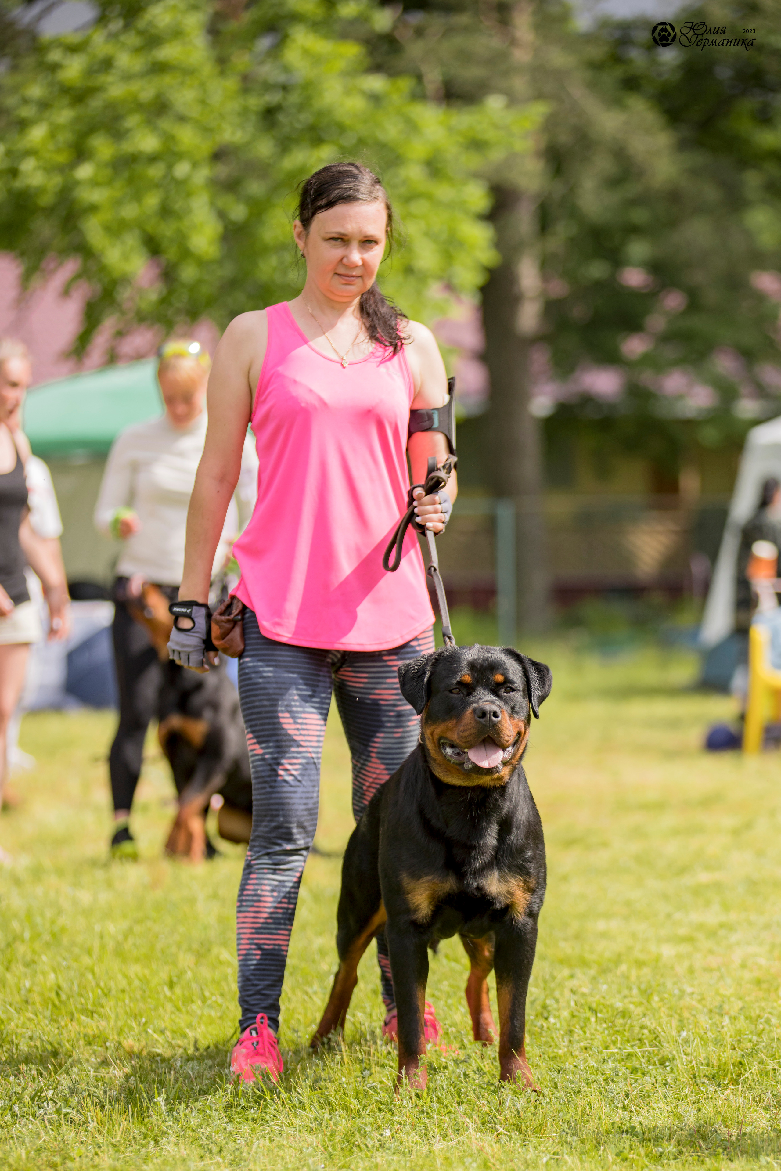 Воронеж 2хмоно ротвейлеров 3-4.06.2023. Фотограф-анималист Юлия Германика