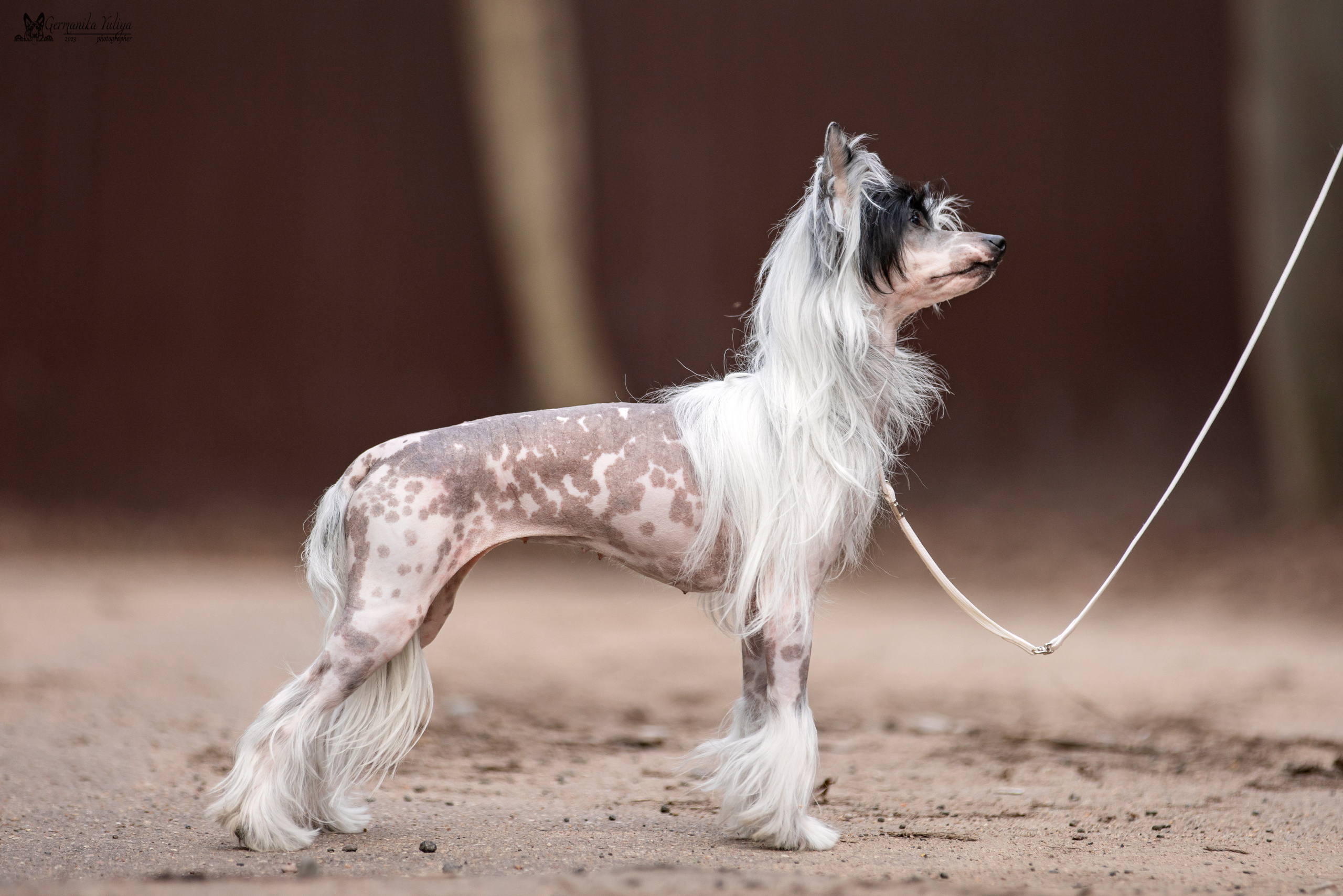 Сфера+МД 8-9.04.2023. Фотограф-анималист Юлия Германика