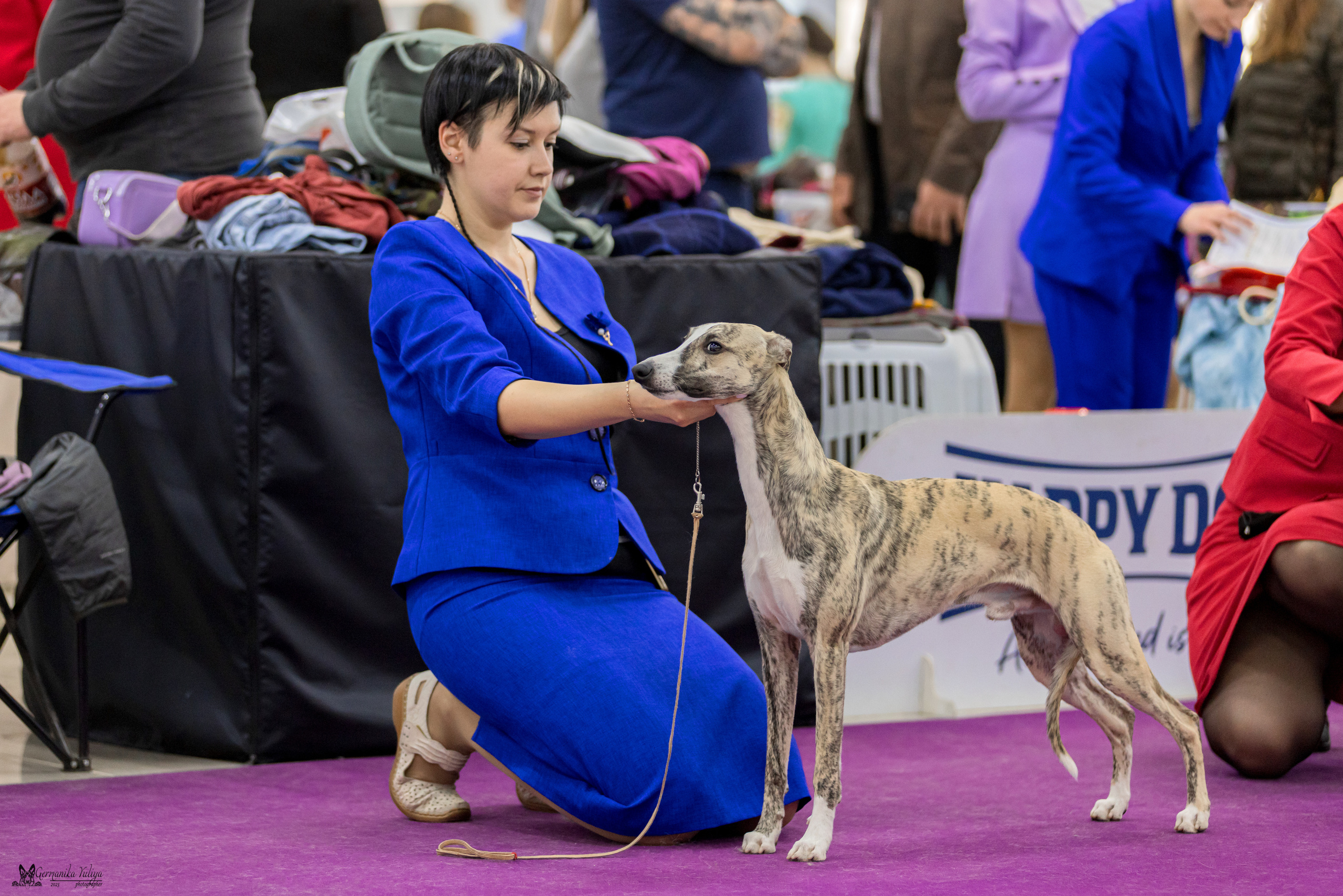 Сфера+МД 8-9.04.2023. Фотограф-анималист Юлия Германика