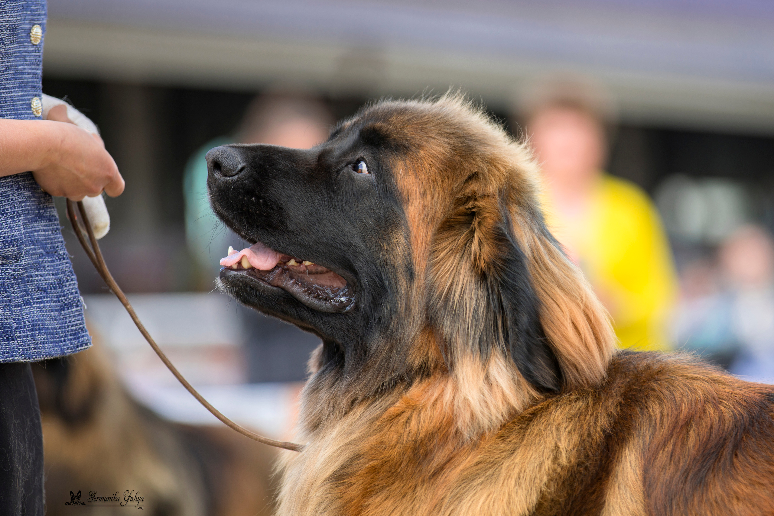 Россия 10-11.06.2023. Фотограф-анималист Юлия Германика