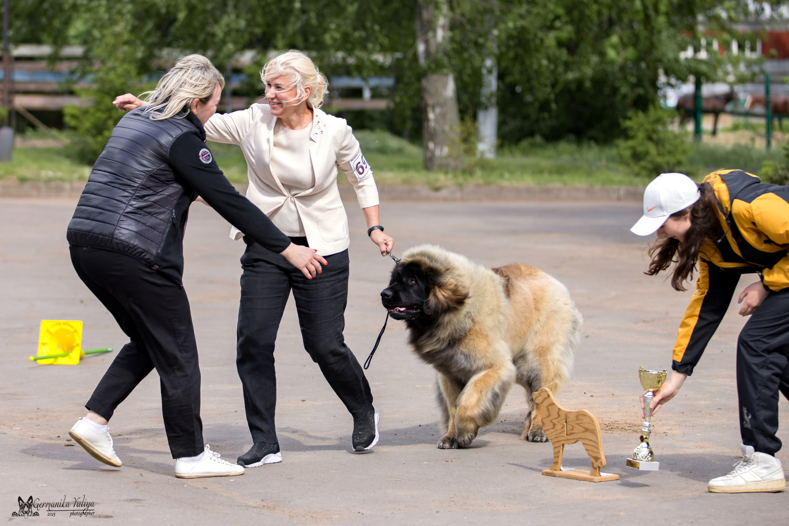 Националка Леонбергеров 28.05.2023. Фотограф-анималист Юлия Германика