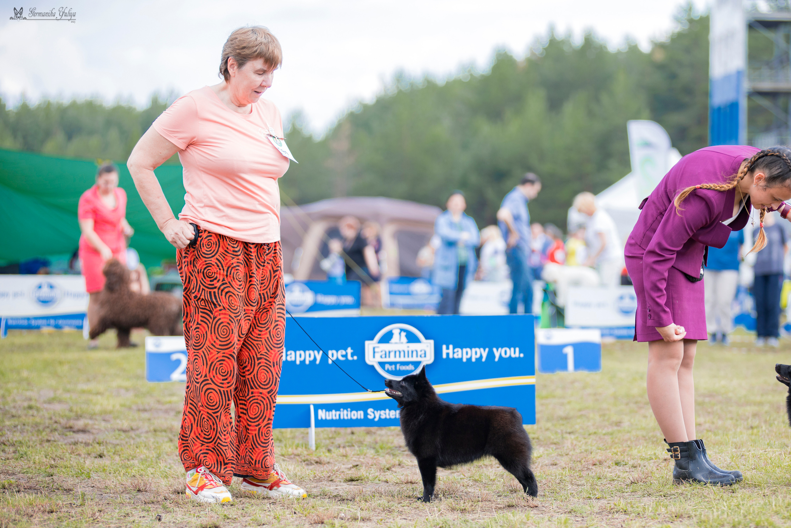 Владимир 1-2.07.2023. Фотограф-анималист Юлия Германика