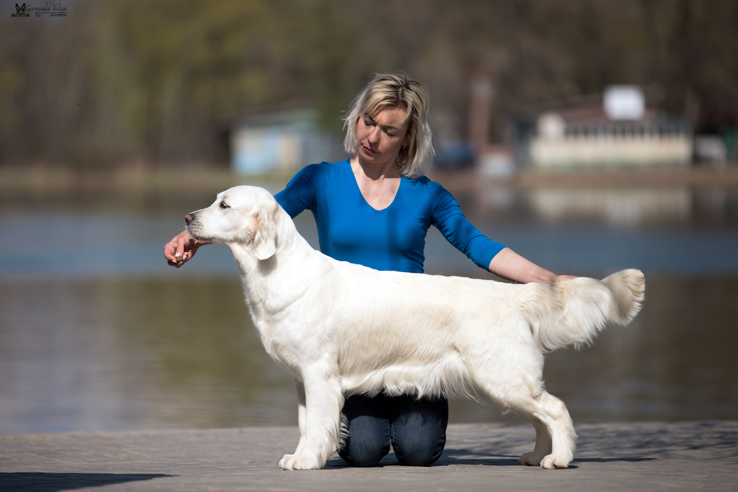 Голдены Саратов 24.04.2023. Фотограф-анималист Юлия Германика