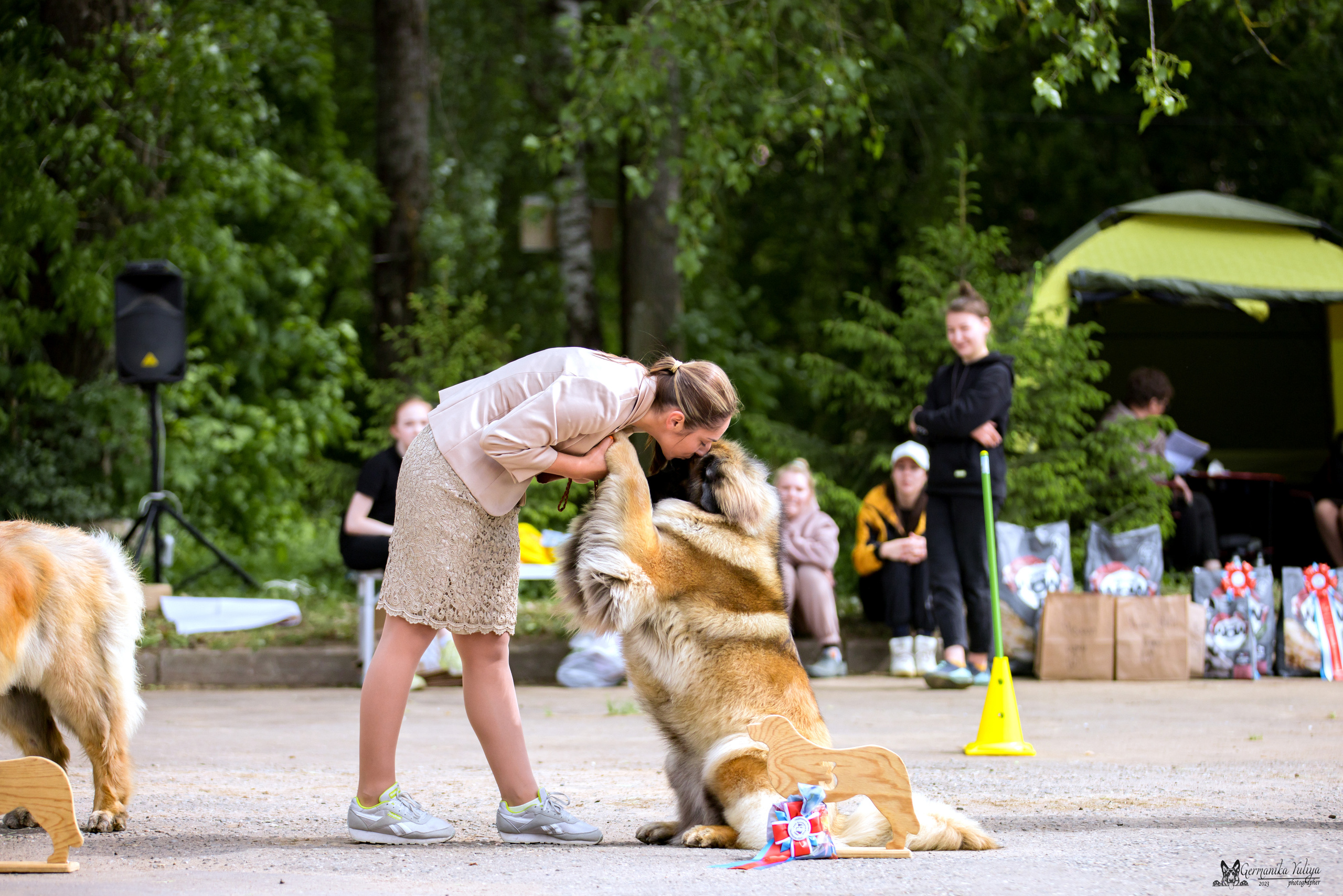 Националка Леонбергеров 28.05.2023. Фотограф-анималист Юлия Германика