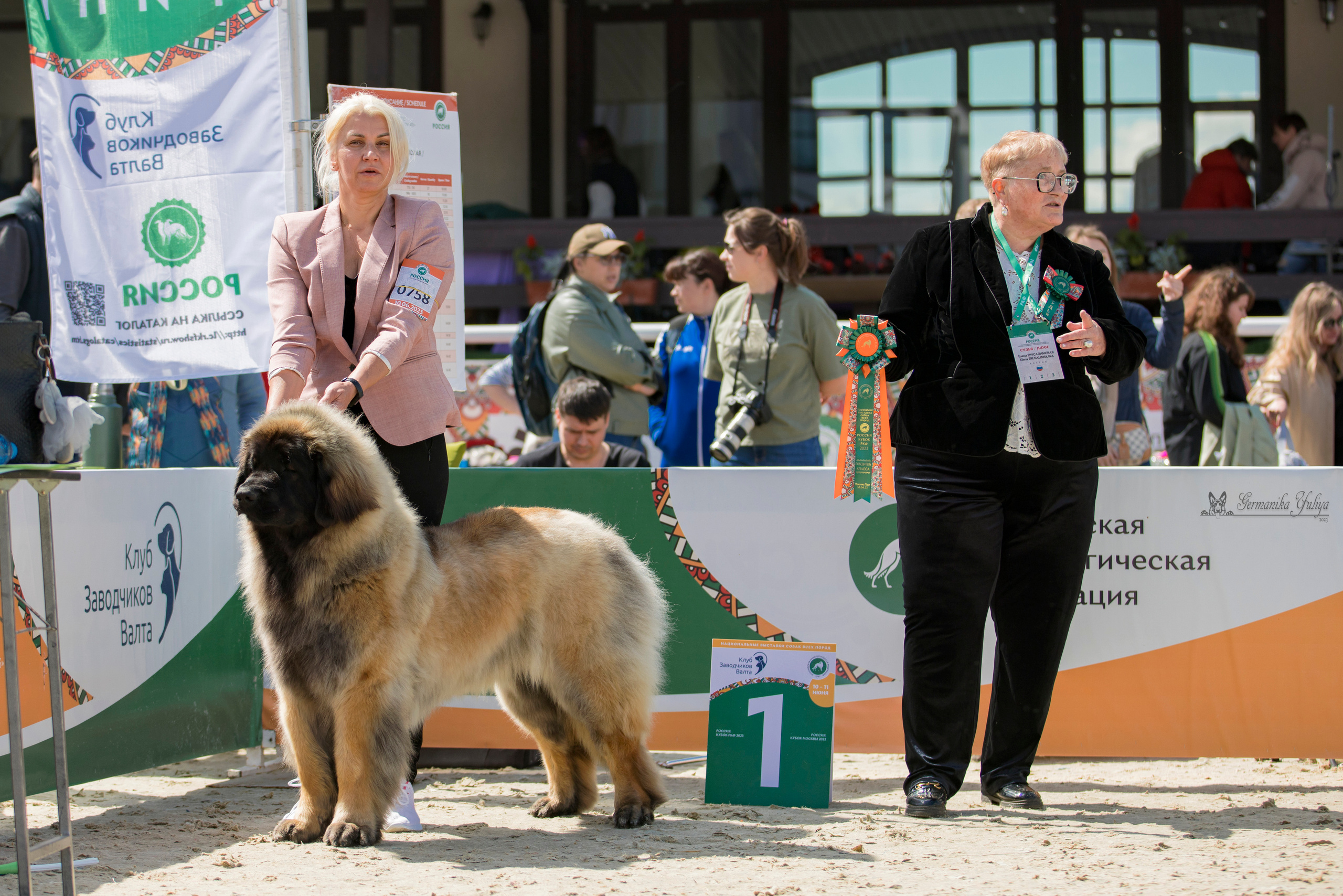 Россия 10-11.06.2023. Фотограф-анималист Юлия Германика