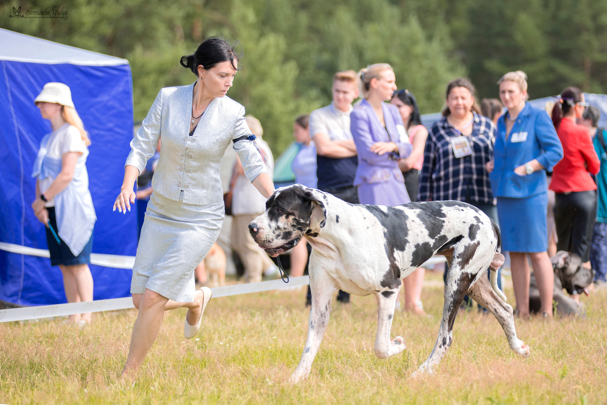 Волжанка 8.07.2023. Фотограф-анималист Юлия Германика