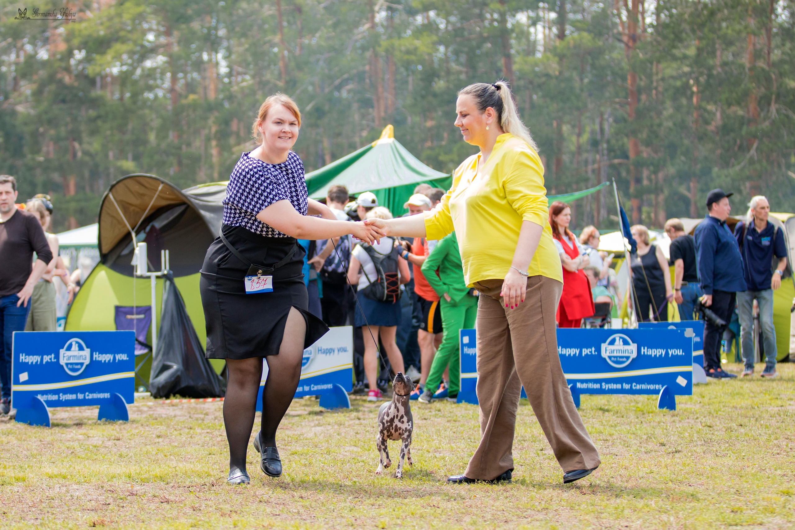 Владимир 1-2.07.2023. Фотограф-анималист Юлия Германика