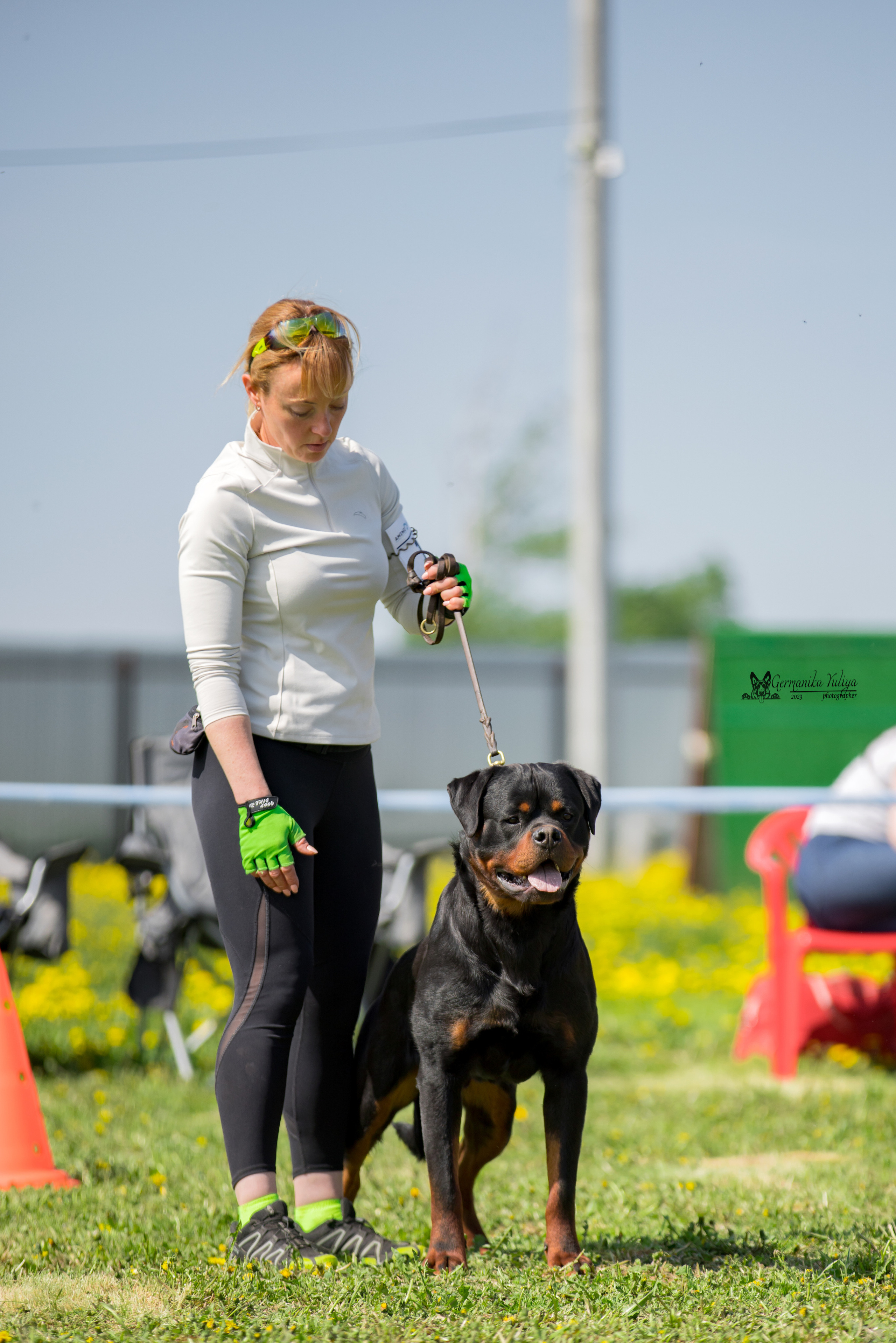 Нижний Новгород моно ротвейлеров 13.05.2023. Фотограф-анималист Юлия Германика