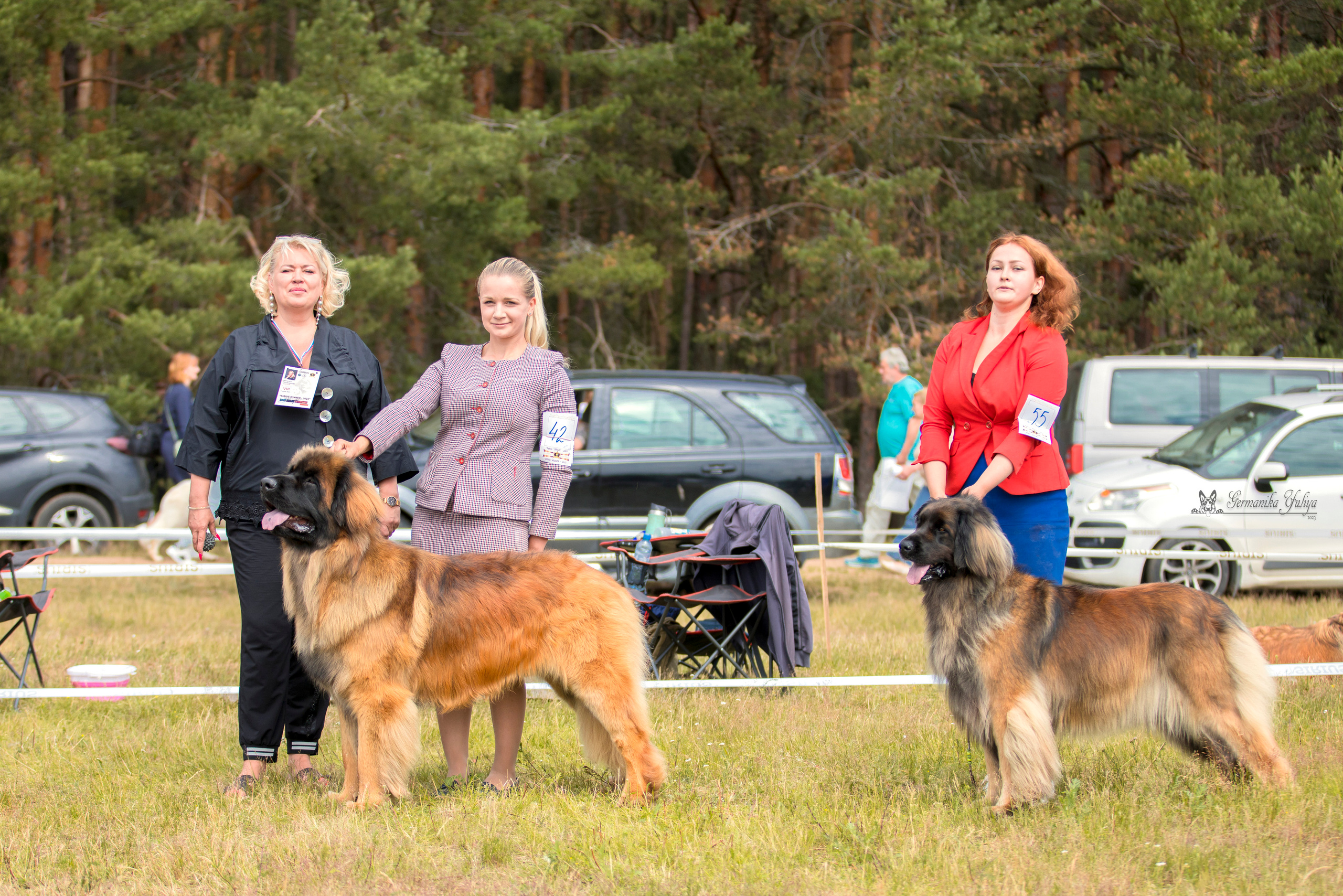 Волжанка 8.07.2023. Фотограф-анималист Юлия Германика
