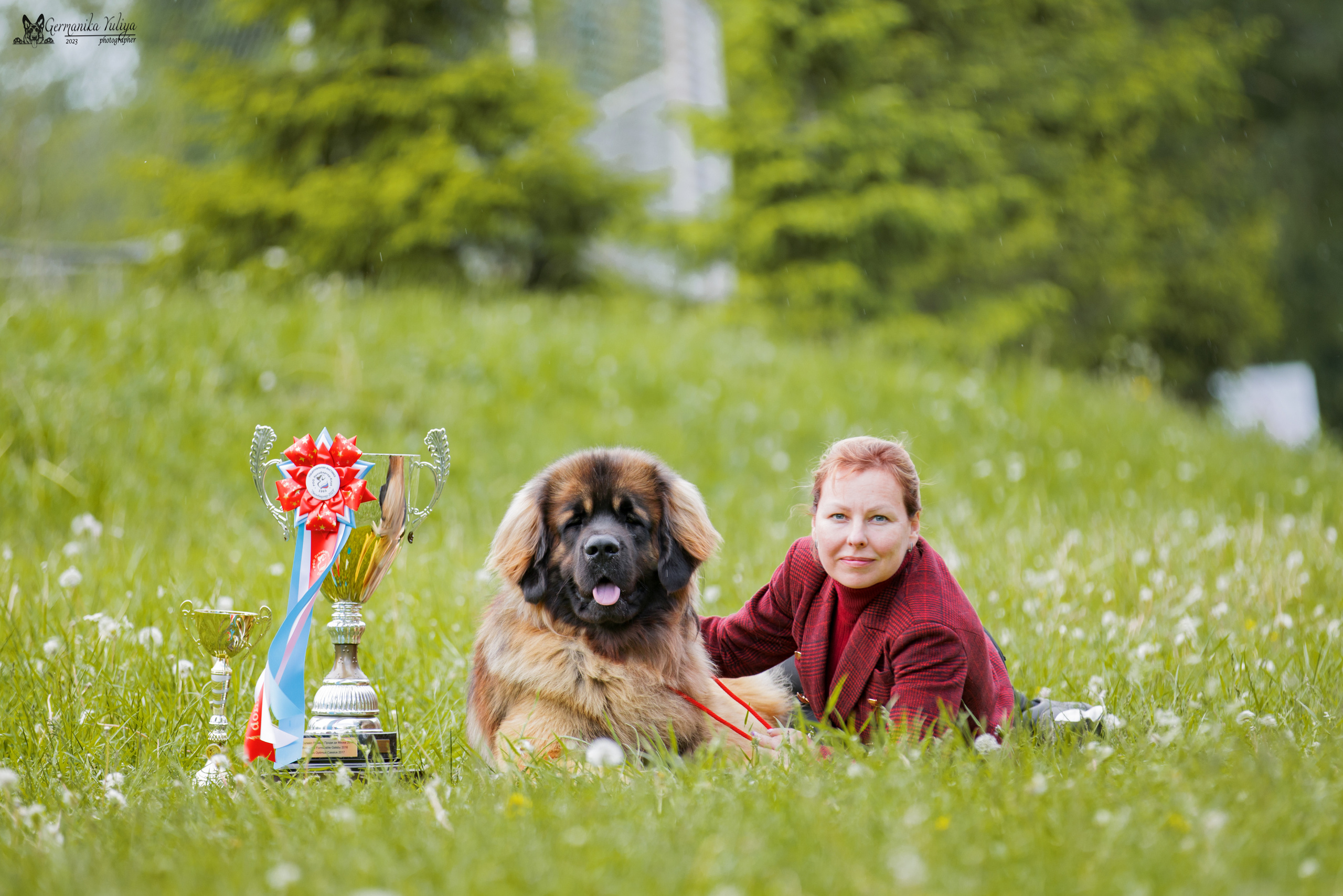 Националка Леонбергеров 28.05.2023. Фотограф-анималист Юлия Германика